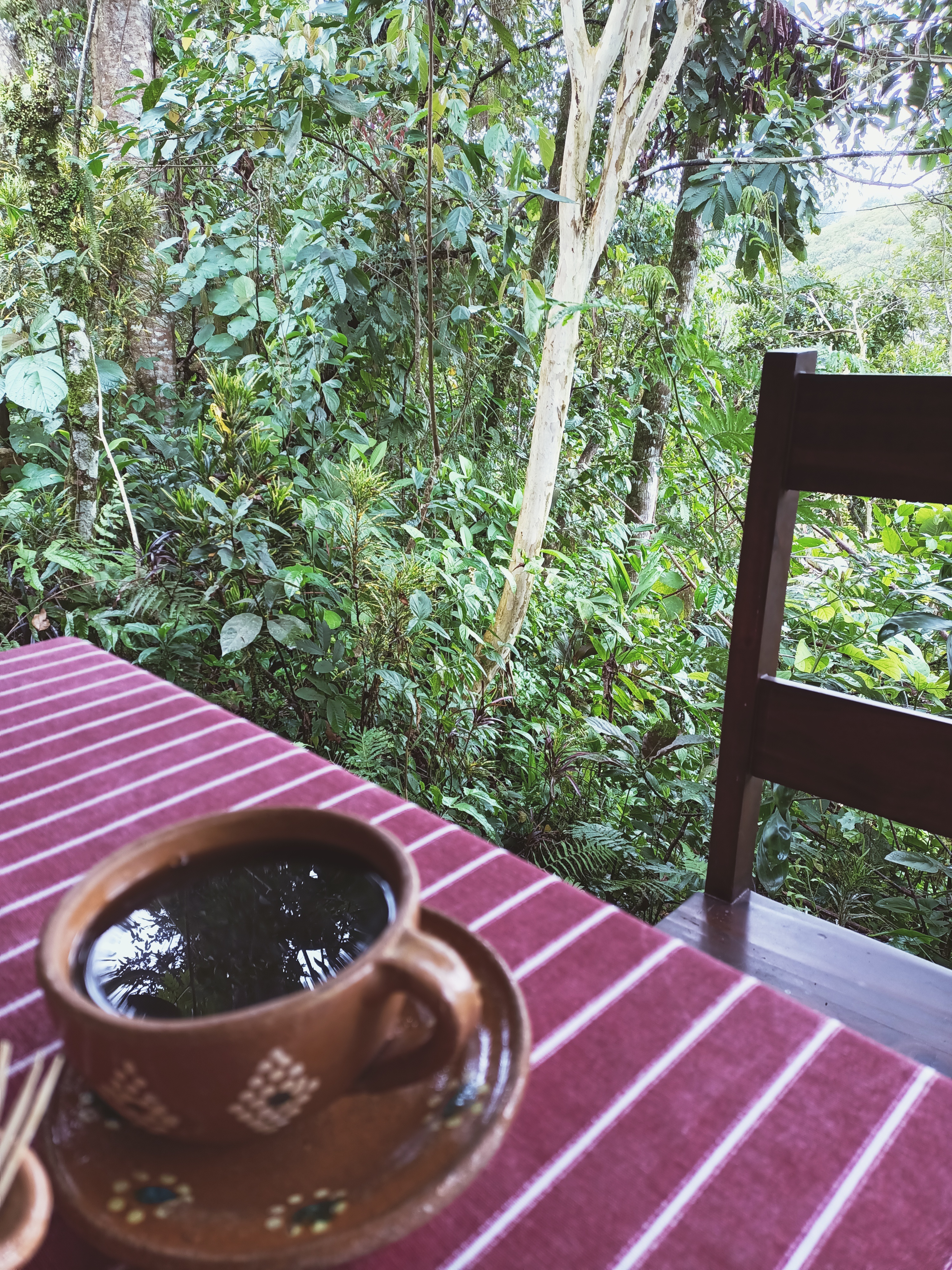 Centro Ecoturístico Kakiwin Tutunaku image 5