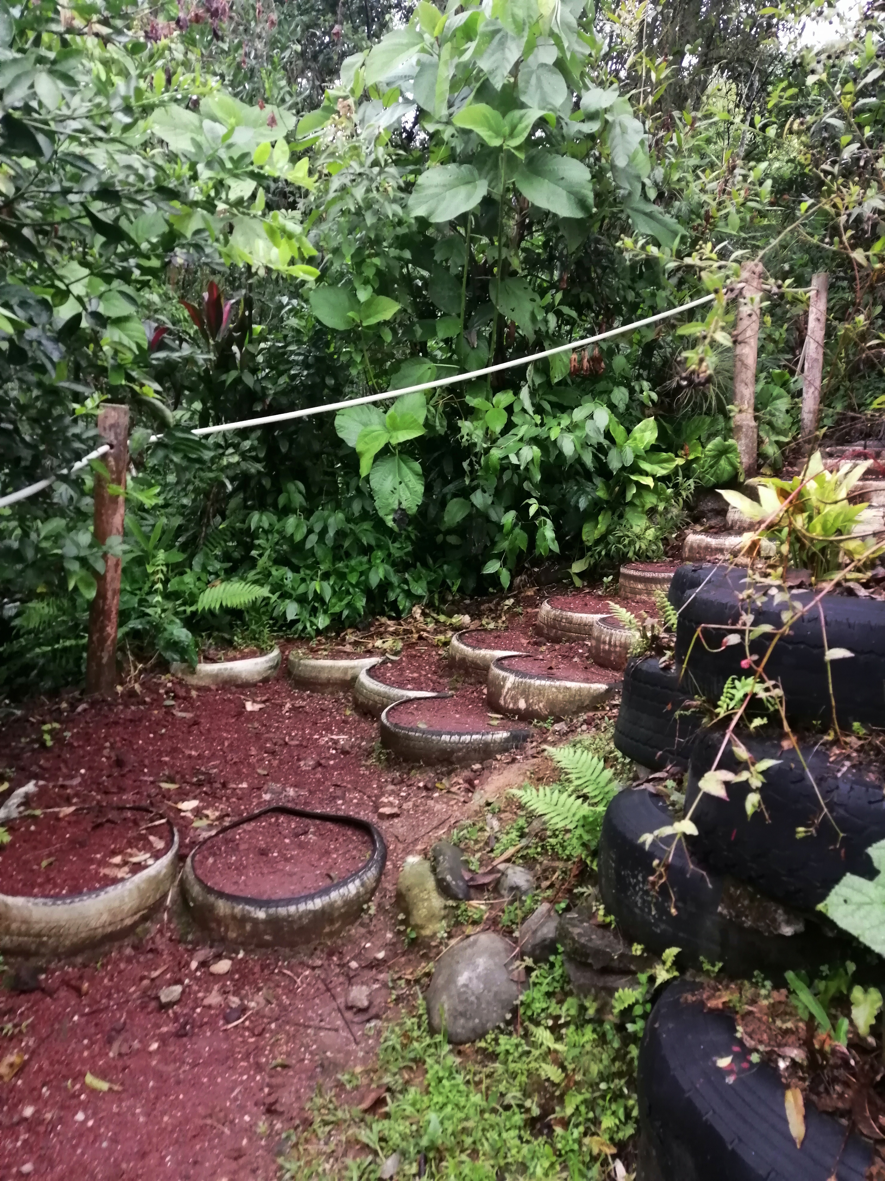 Centro Ecoturístico Kakiwin Tutunaku image 6