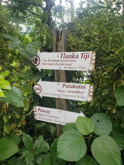 Centro Ecoturístico Kakiwin Tutunaku image 7