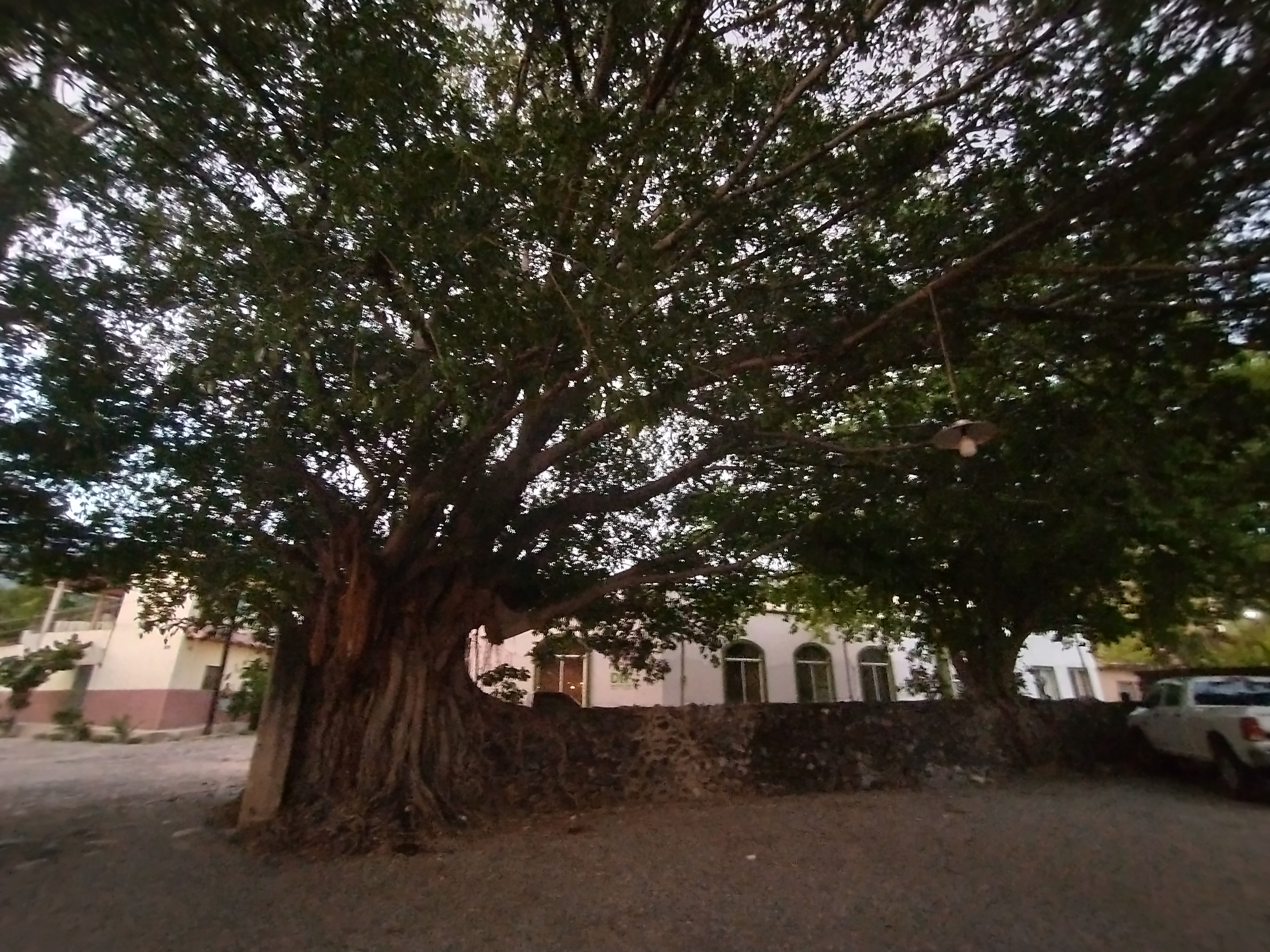 Los tukanes restaurante image 10