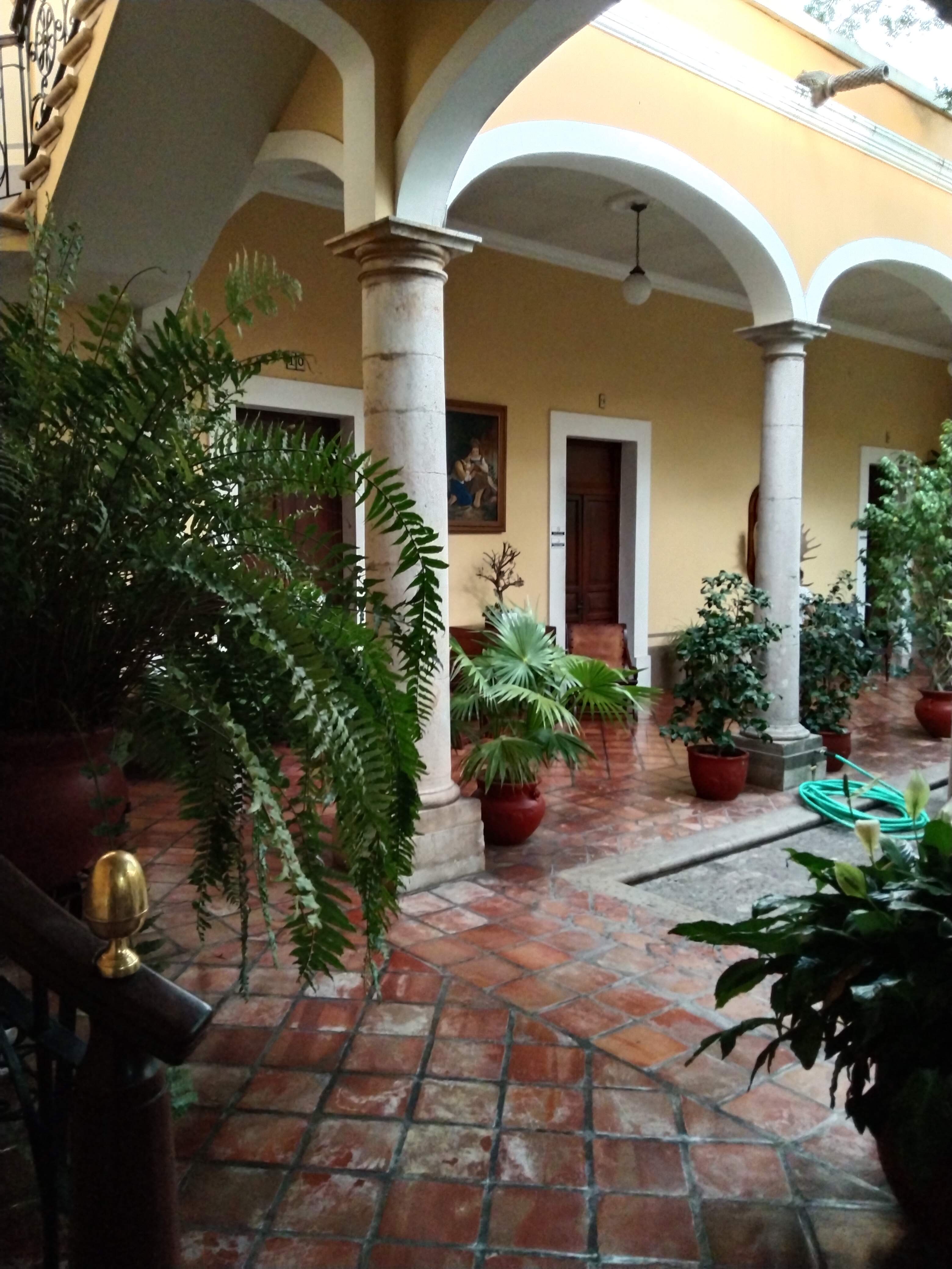 Mi Casa Antojitos image 6