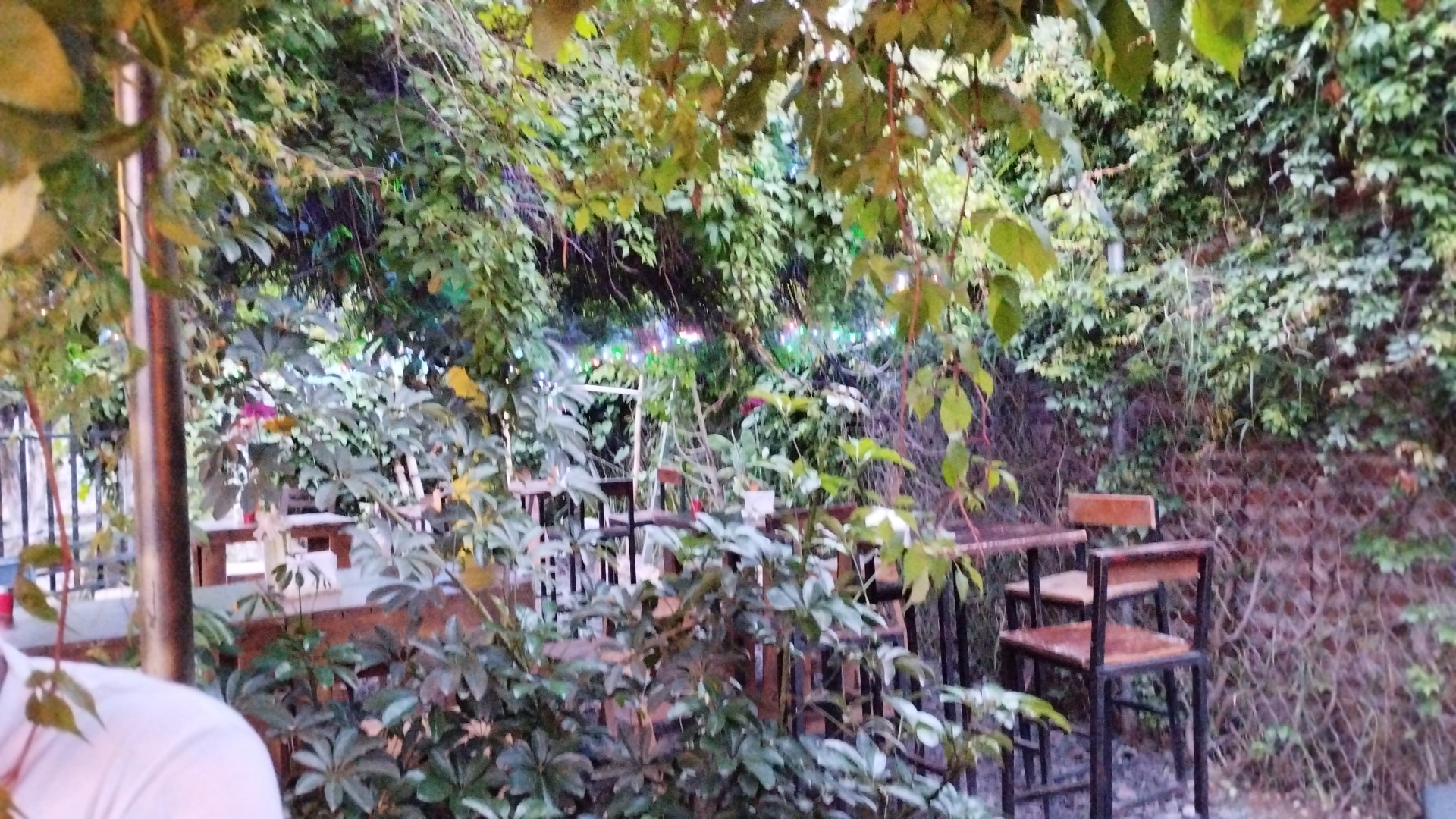 Juan Minero restaurant-bar image 2