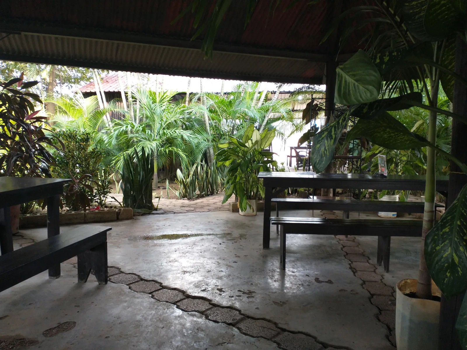 Restaurant Los Anafres image 4