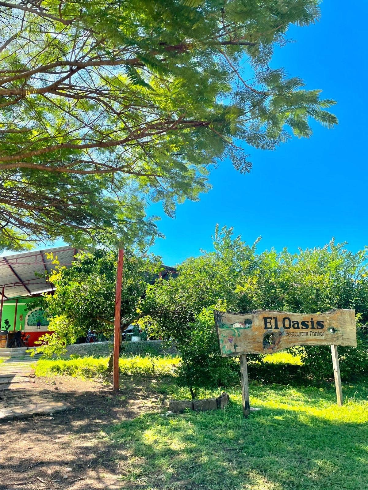 El Oasis restaurante image 5