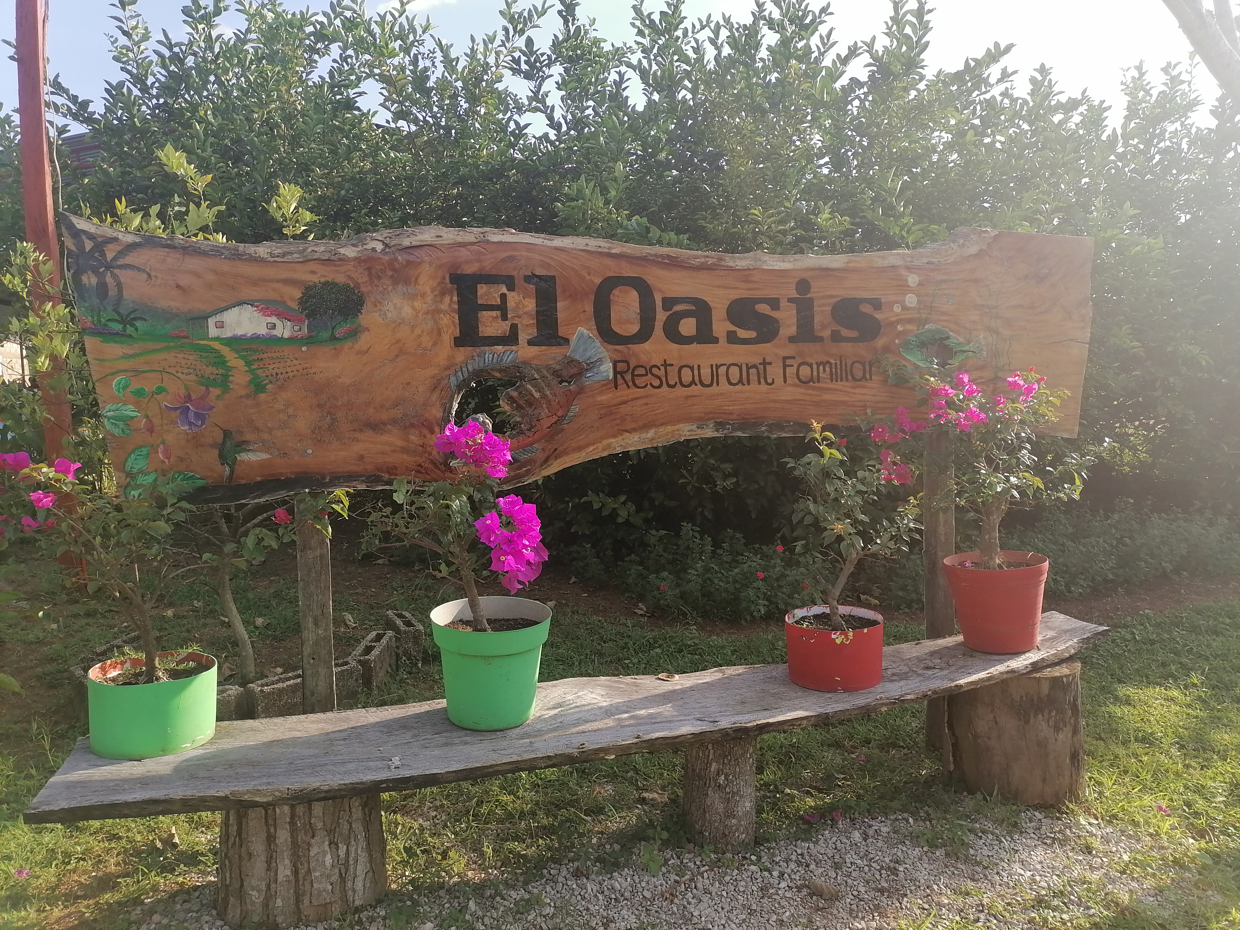 El Oasis restaurante image 6