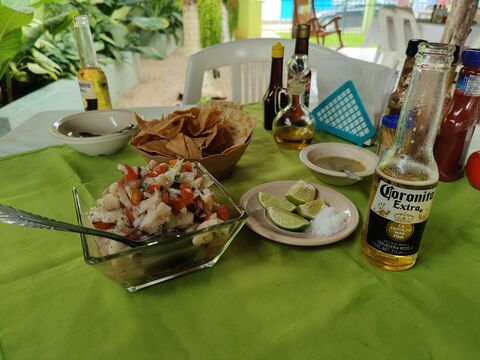 La Hicotea image 5