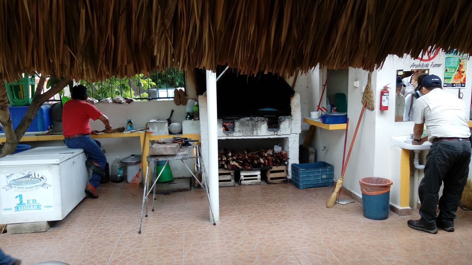 La Hicotea image 9