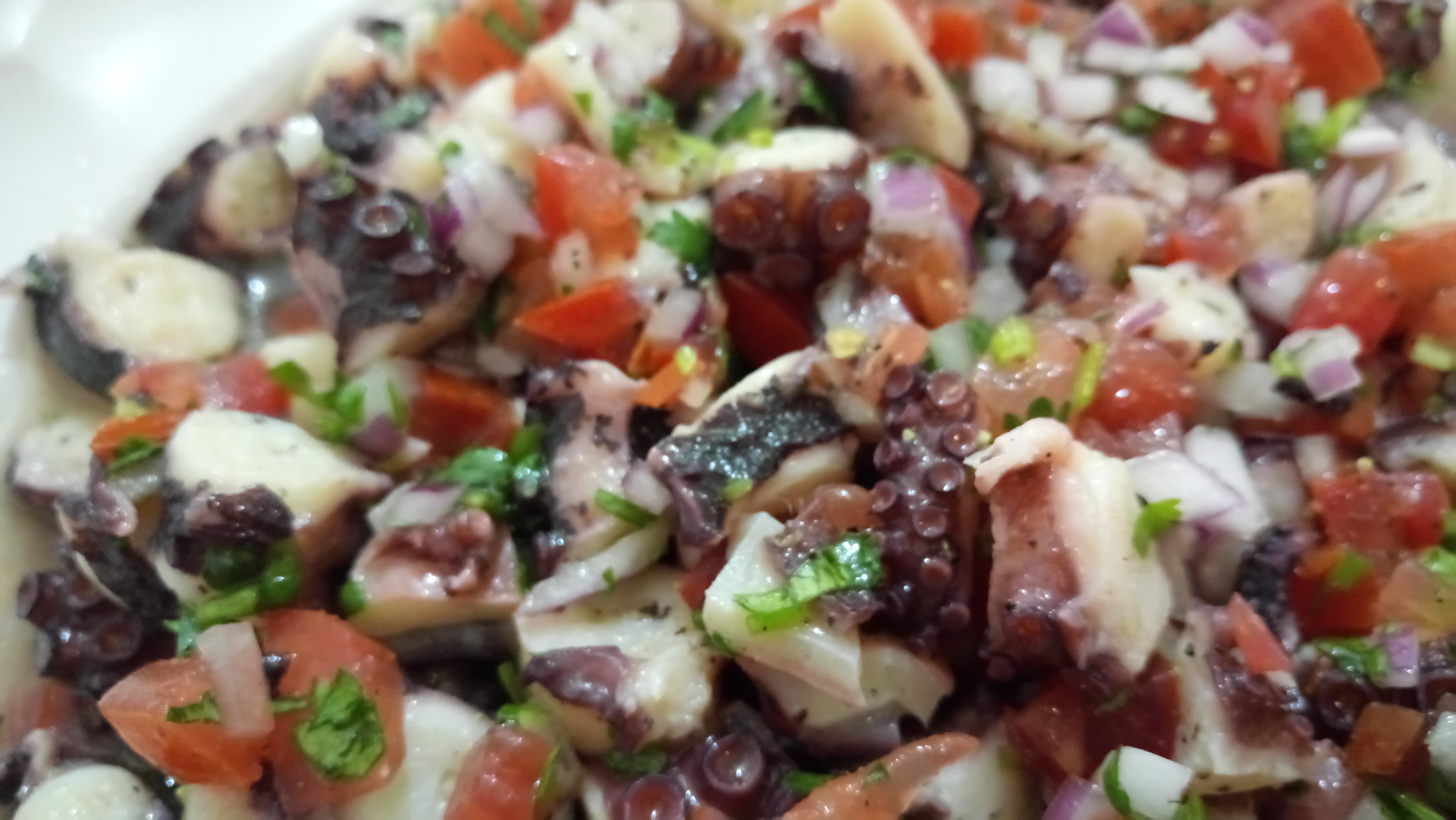 CASA DE MAR image 10