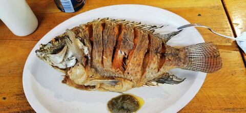 Pescados y Mariscos La Tarraya image 8
