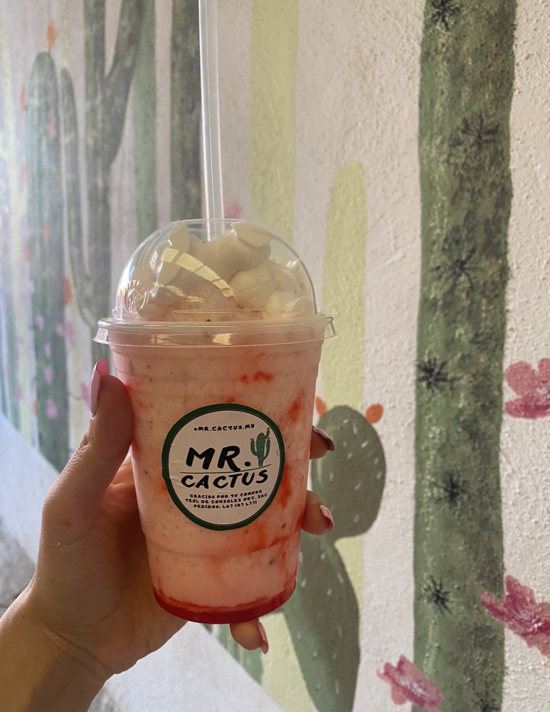 Mr Cactus Teul image 4