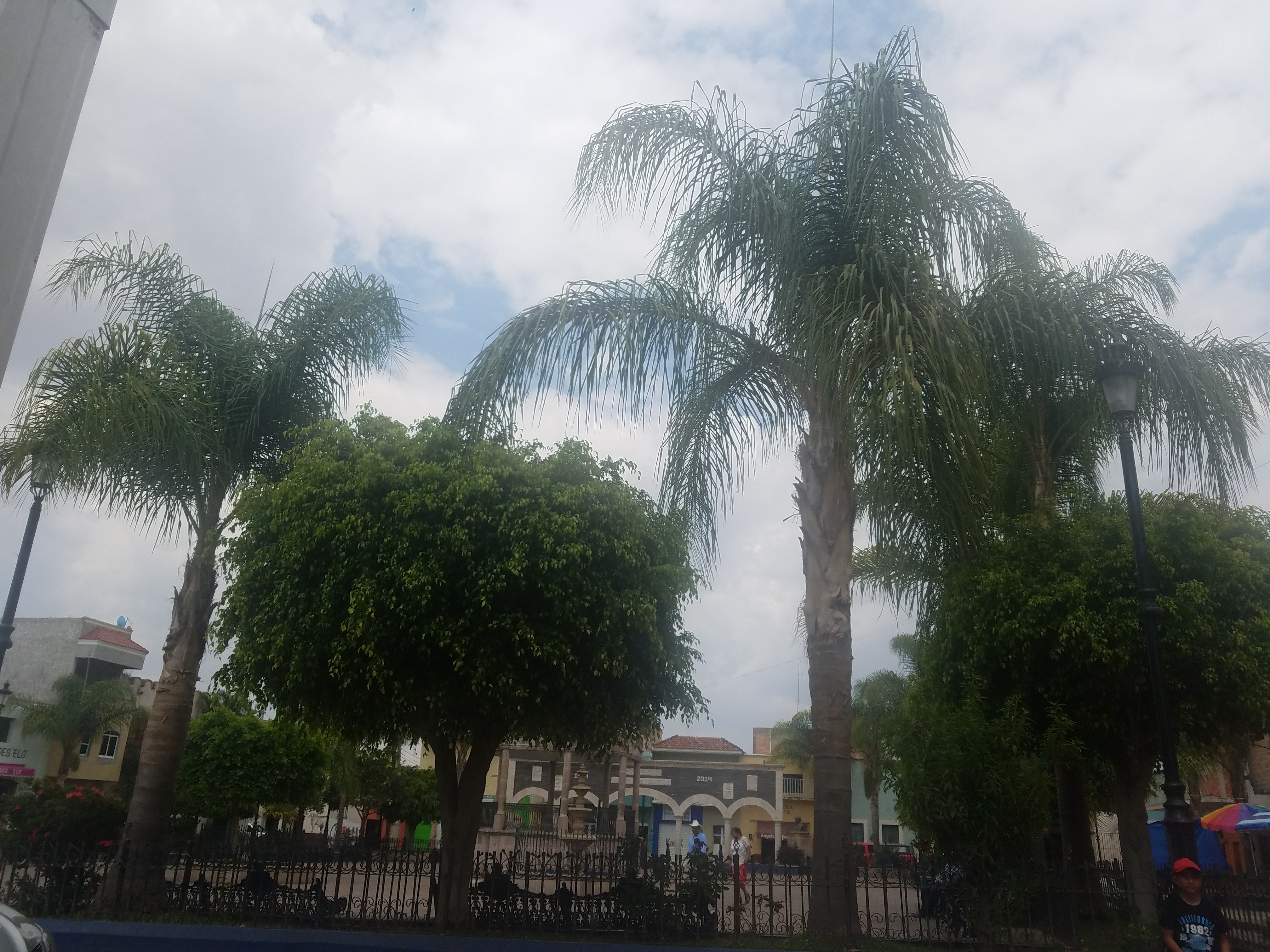 CIBER CAFE Y PIZZERIA "CORTES" image 3