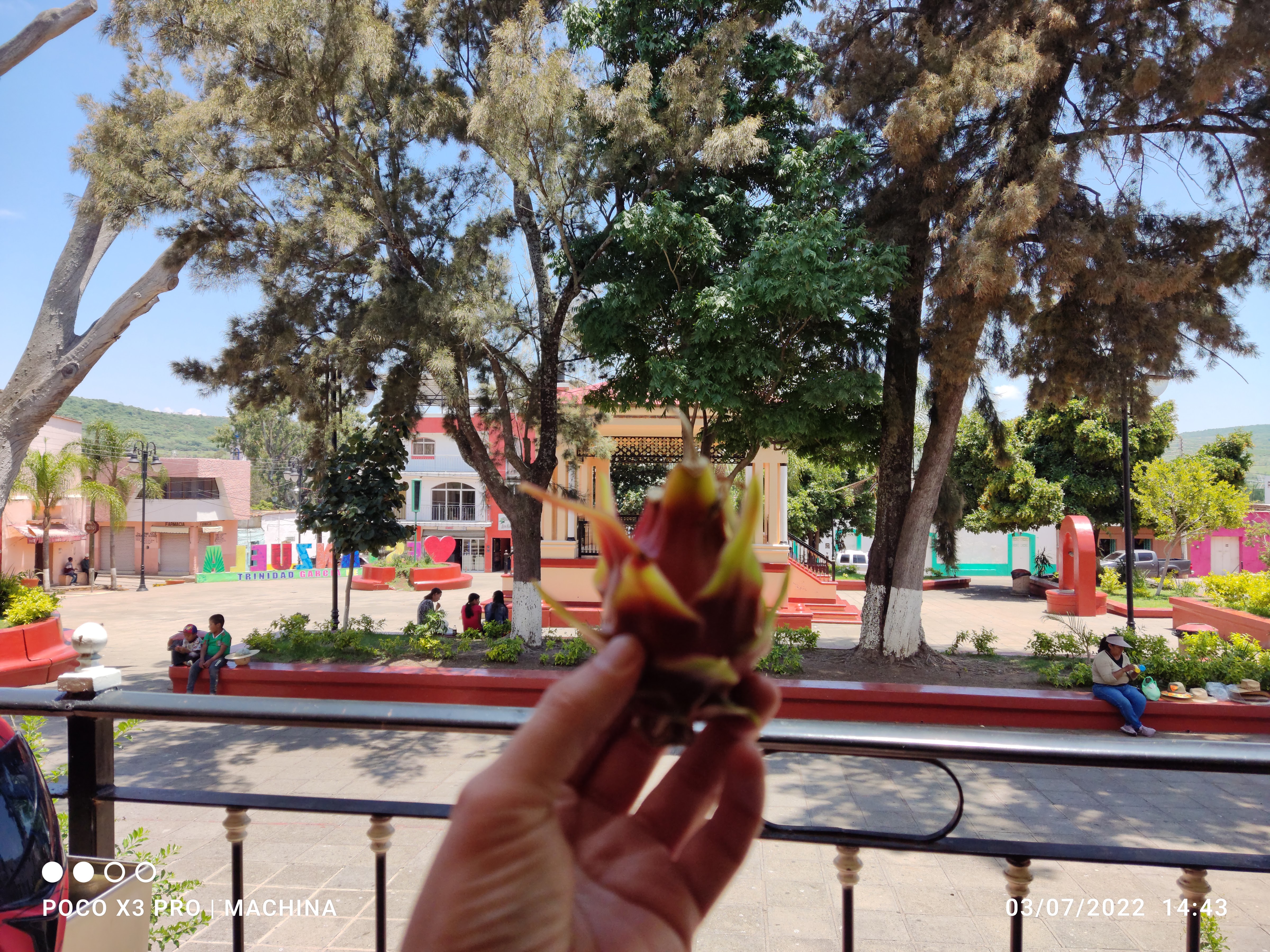 Restaurant La Plaza image 6