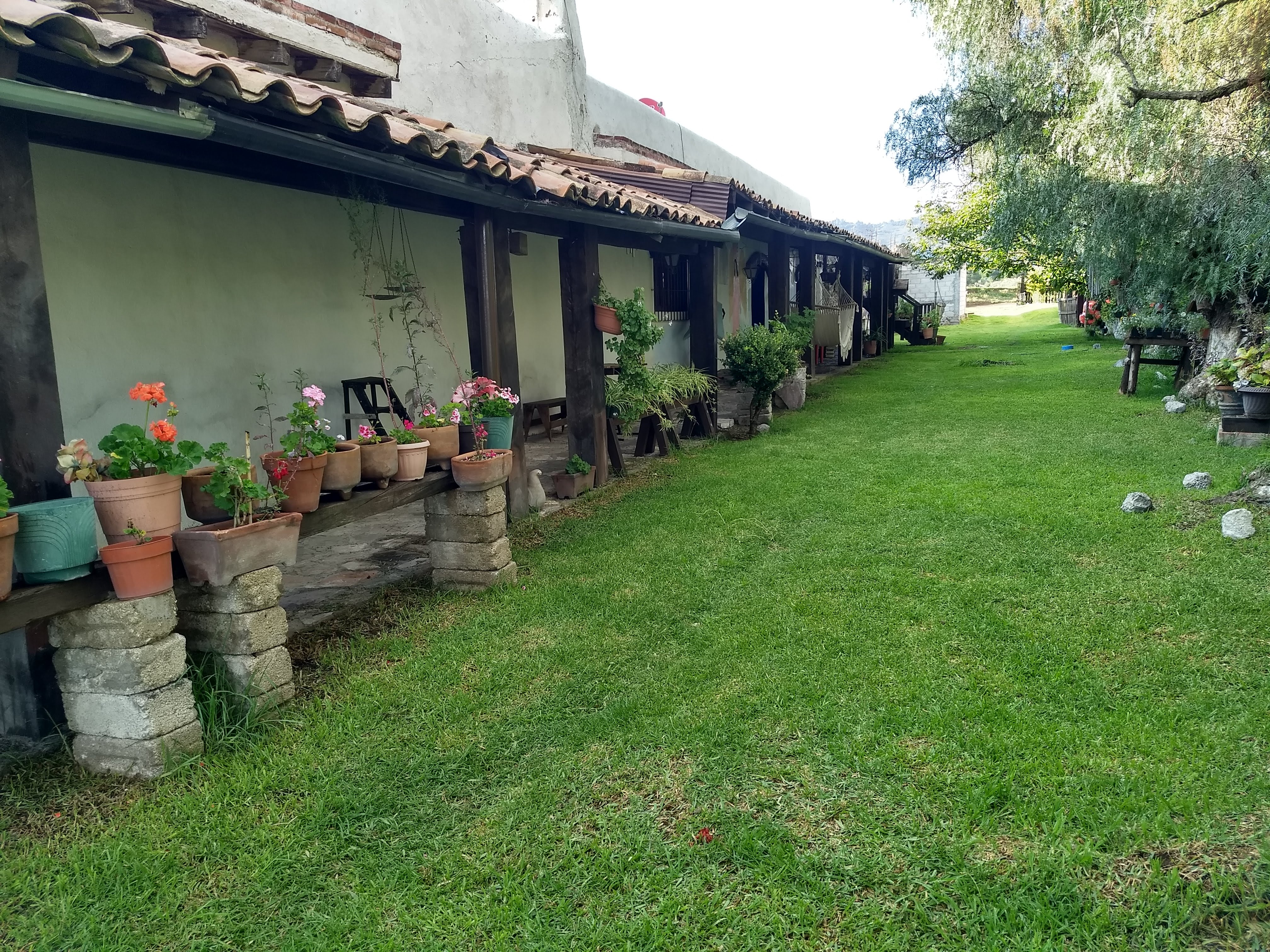 Restaurante Los Recuerdos image 6