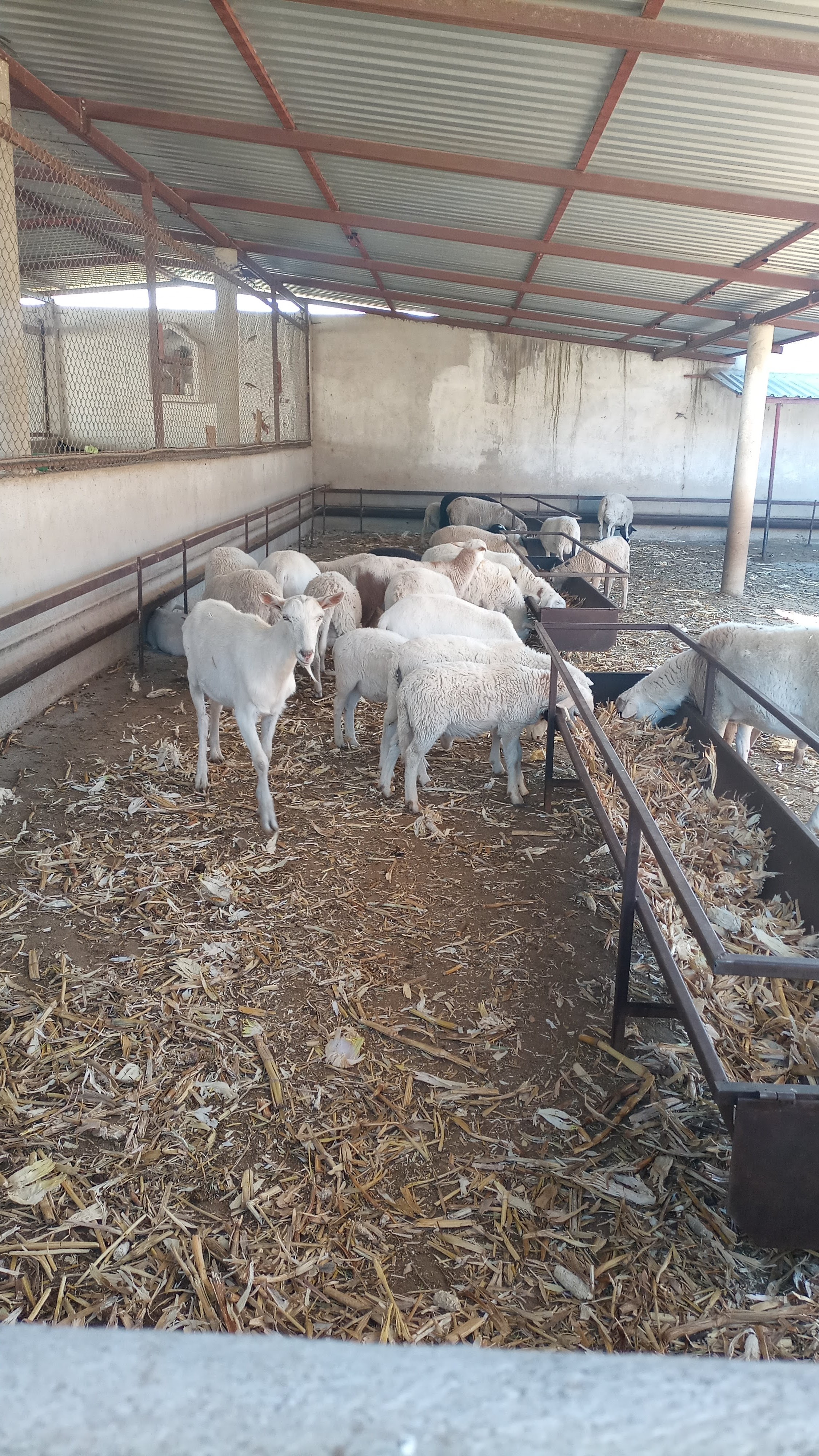 Restaurante Los Recuerdos image 9