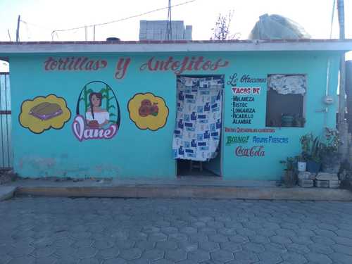 Fondita VANE image 5