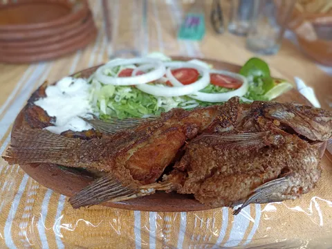 Mojarras Cerro De Oro image 4
