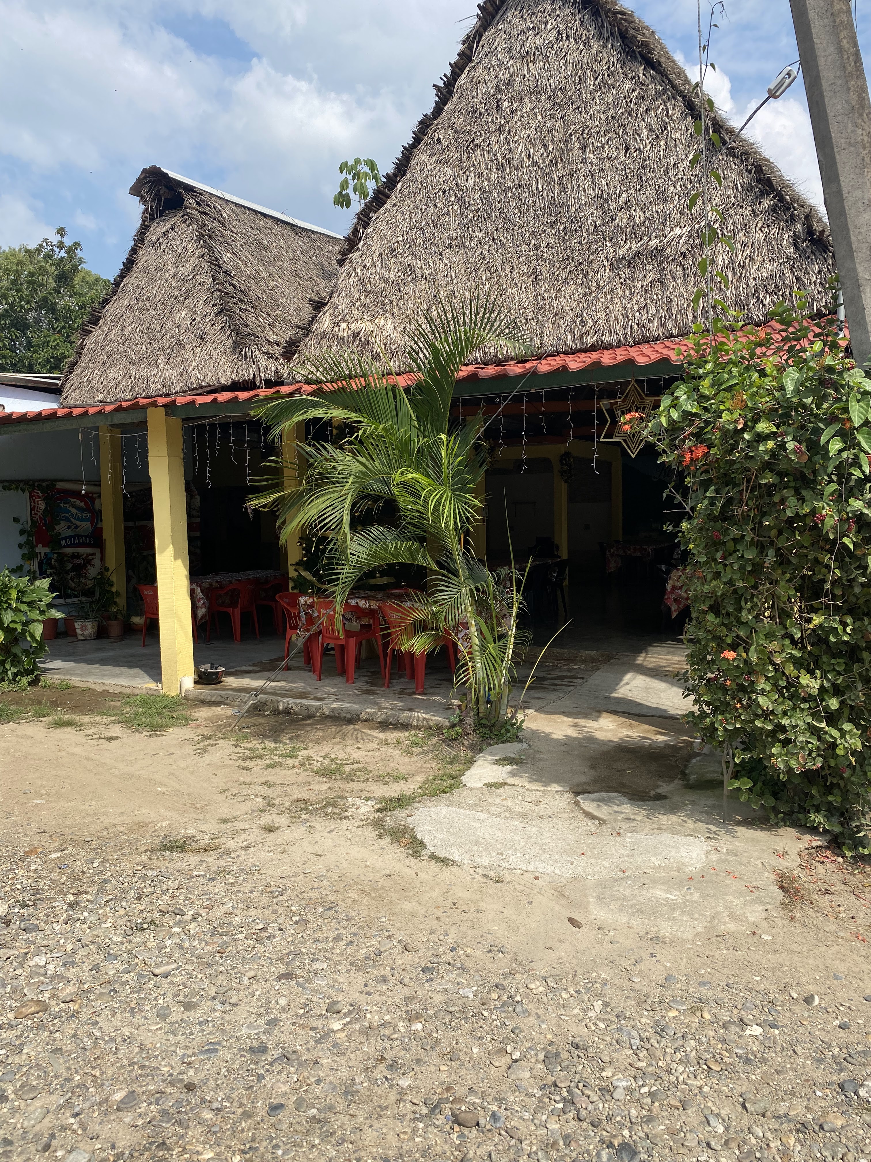 Mojarras Cerro De Oro image 6