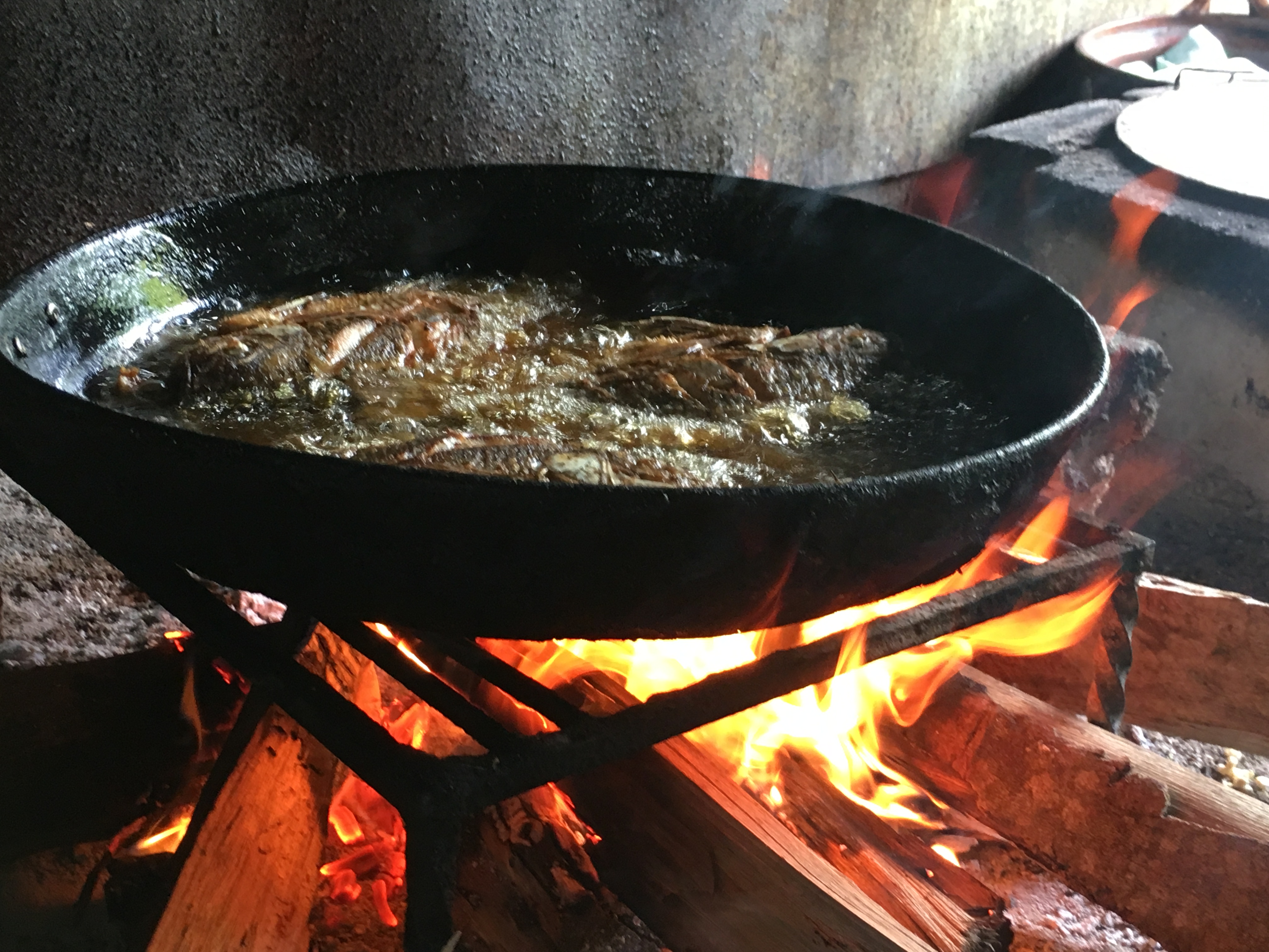 Mojarras Cerro De Oro image 9