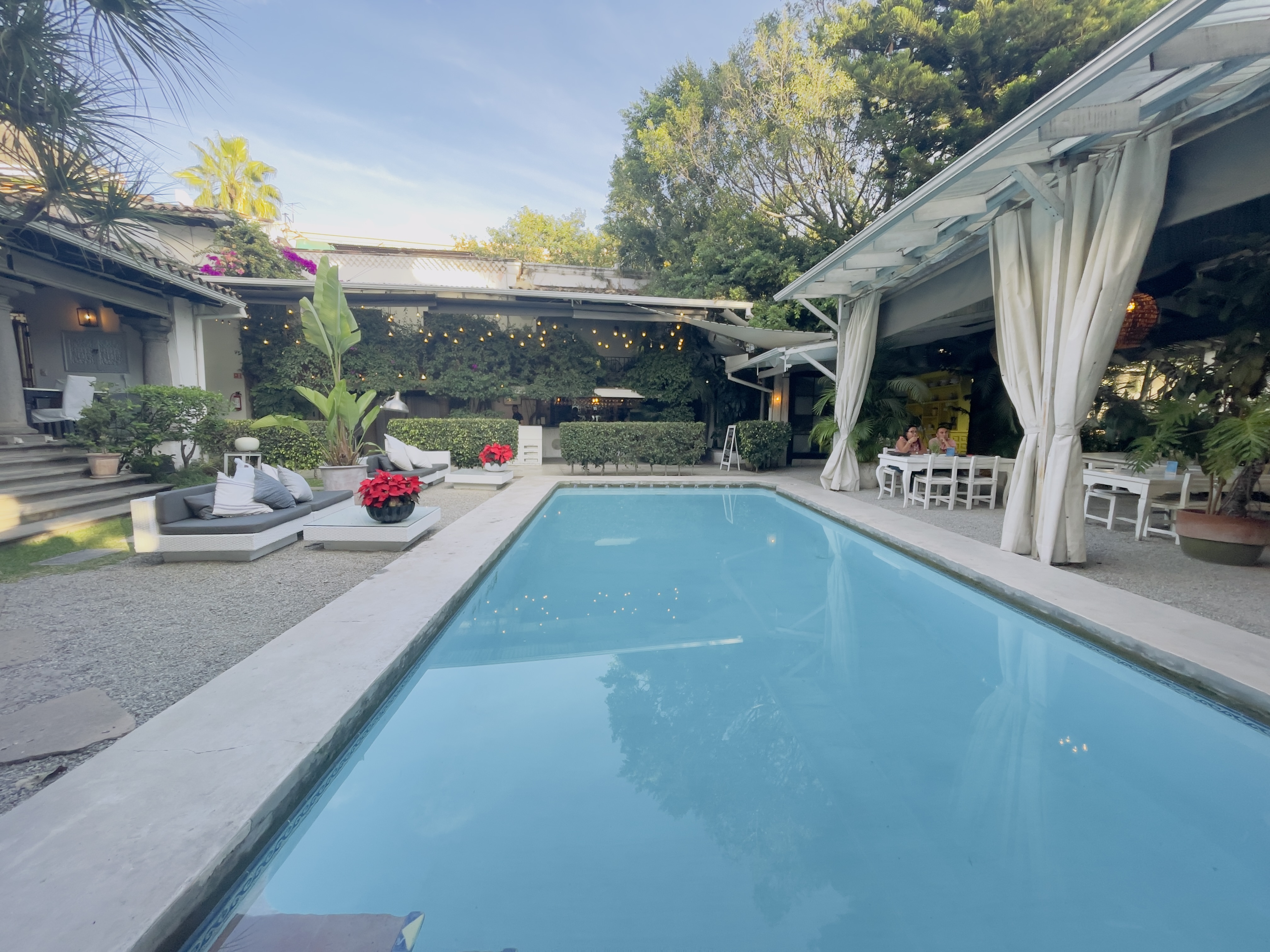 House Restaurant image 3