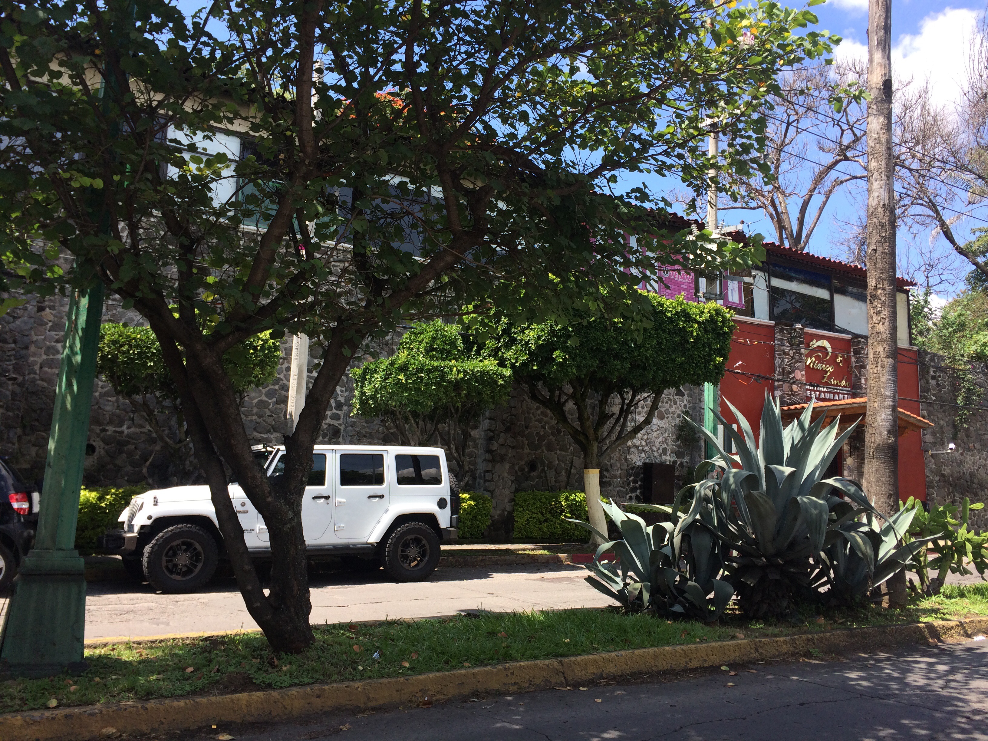 Restaurante Bar México Lindo Cantina Mexicana image 9