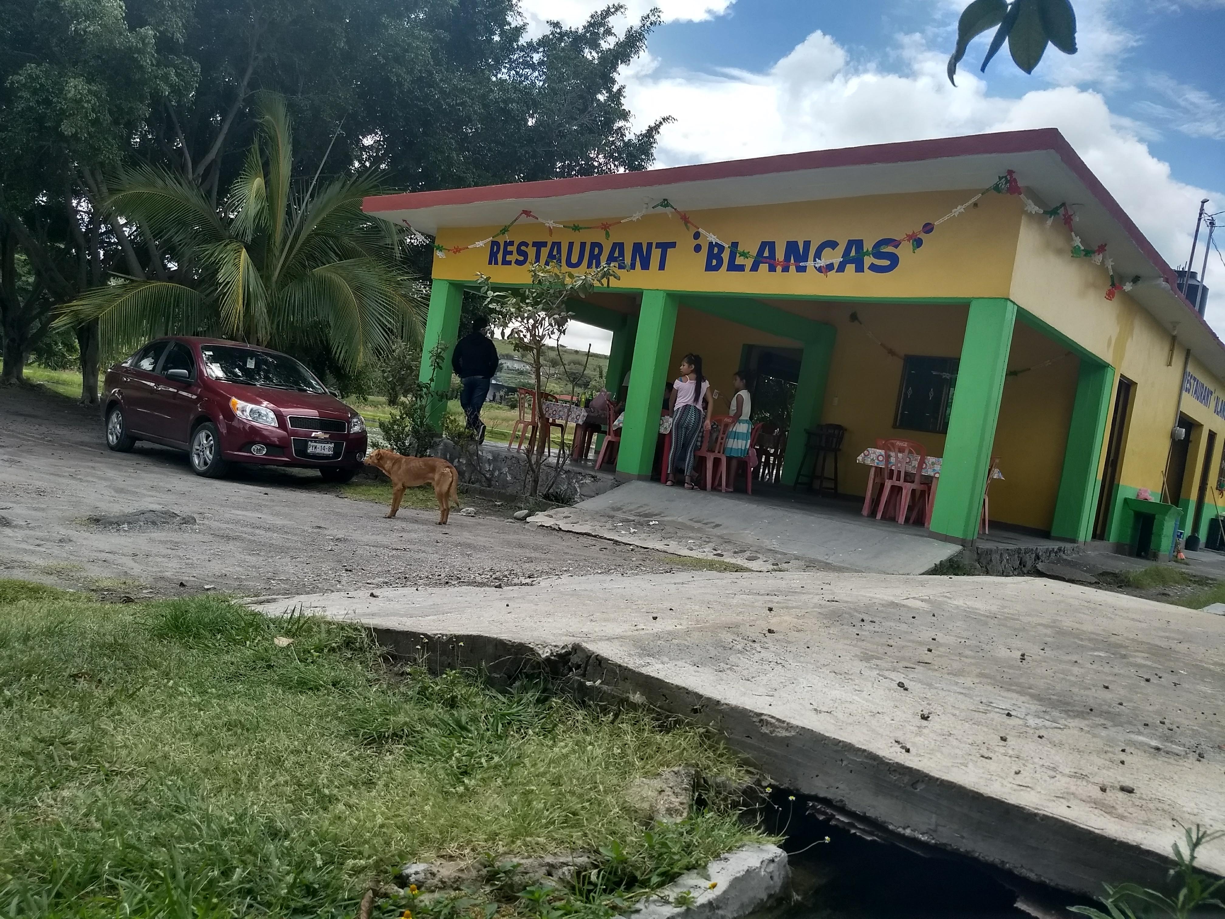 Los estanques de Mojarras image 1