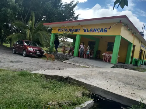 Los estanques de Mojarras image 1