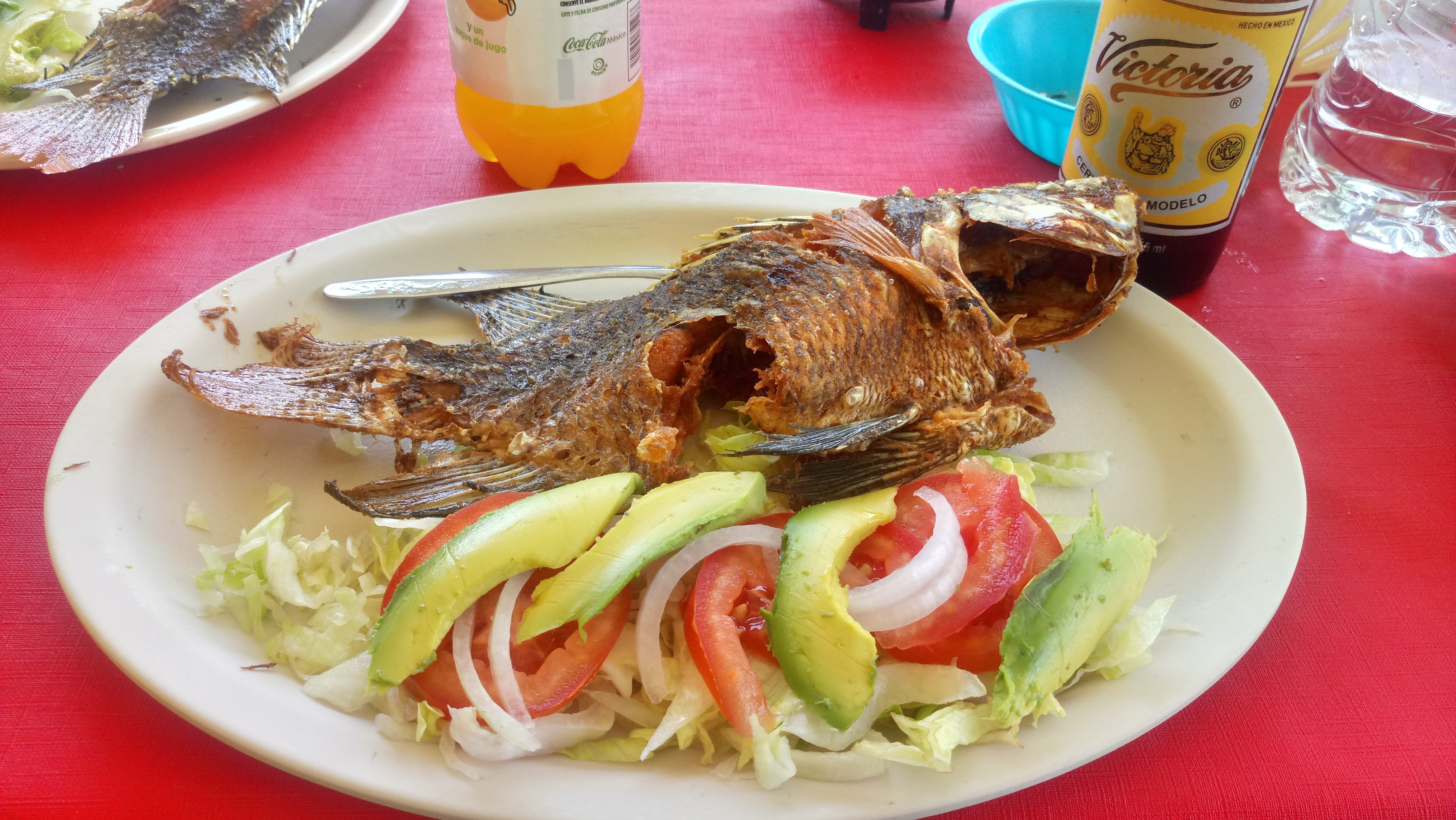 Los estanques de Mojarras image 2