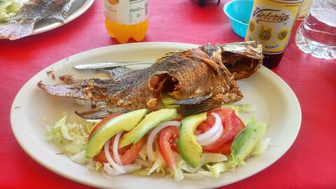 Los estanques de Mojarras image 2