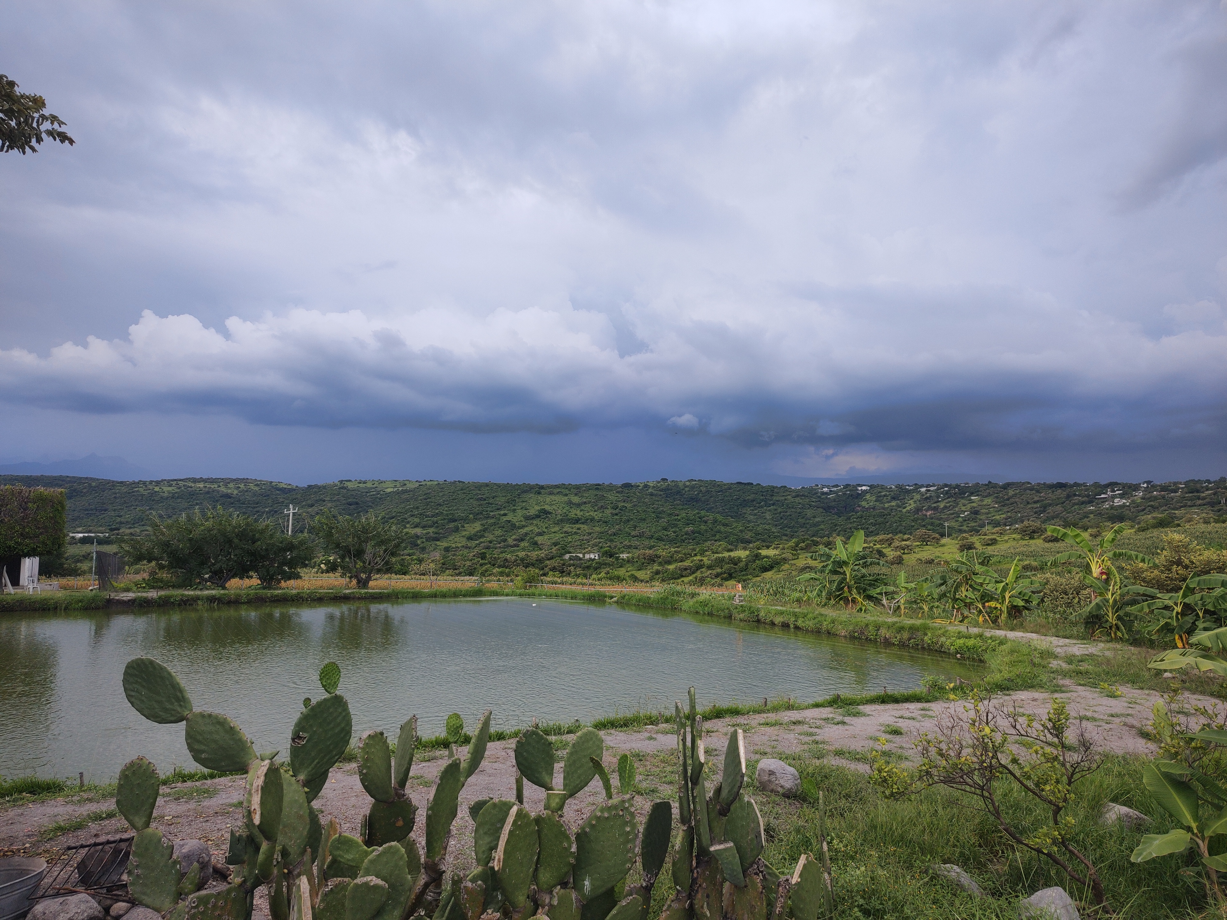 Los estanques de Mojarras image 3