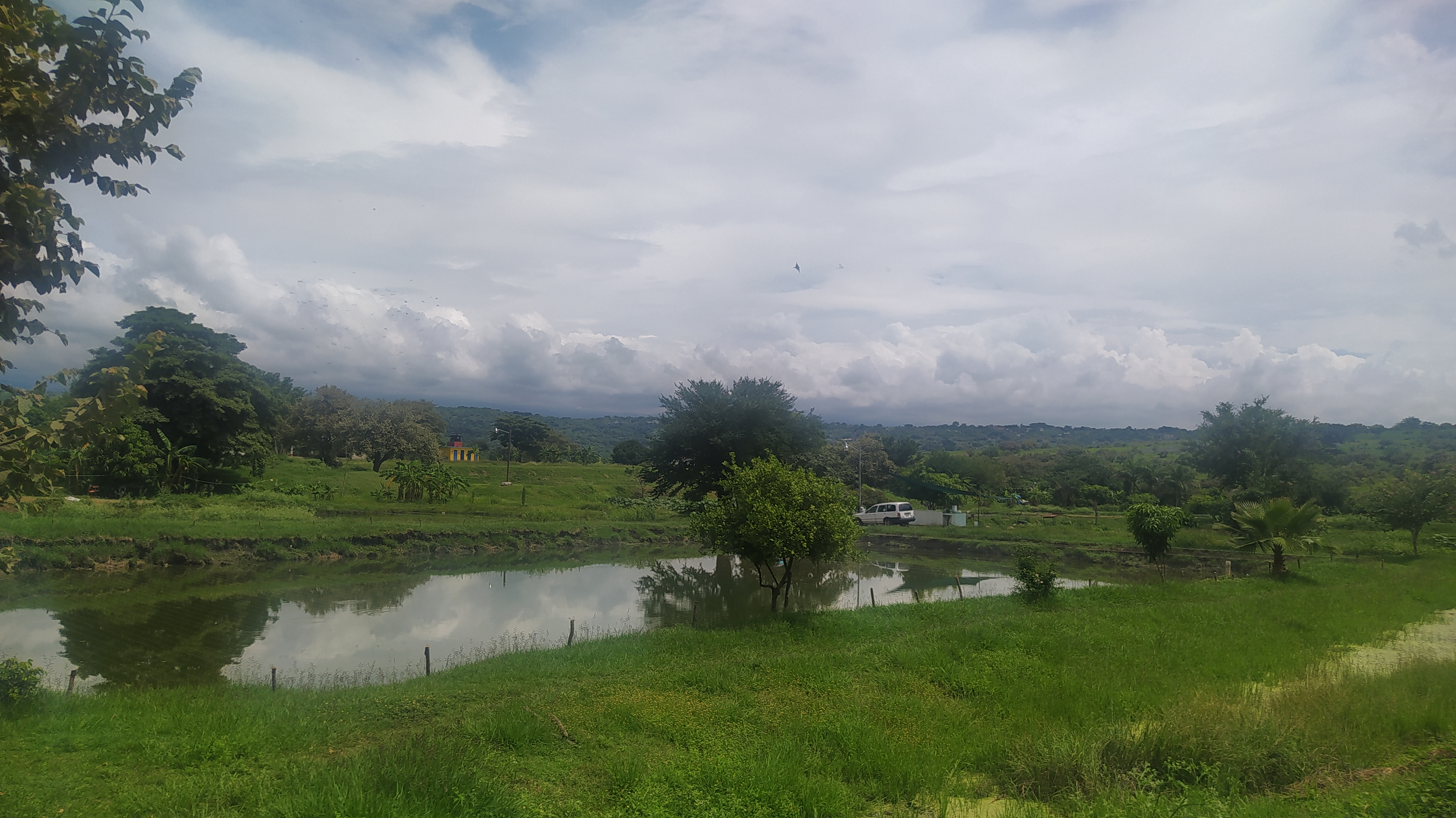 Los estanques de Mojarras image 6