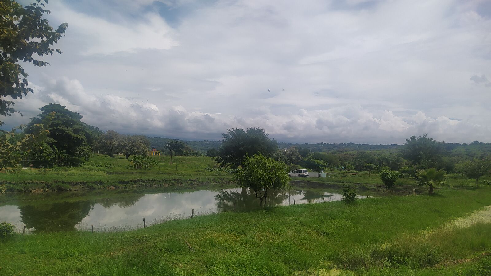 Los estanques de Mojarras image 6