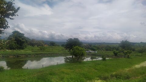Los estanques de Mojarras image 6