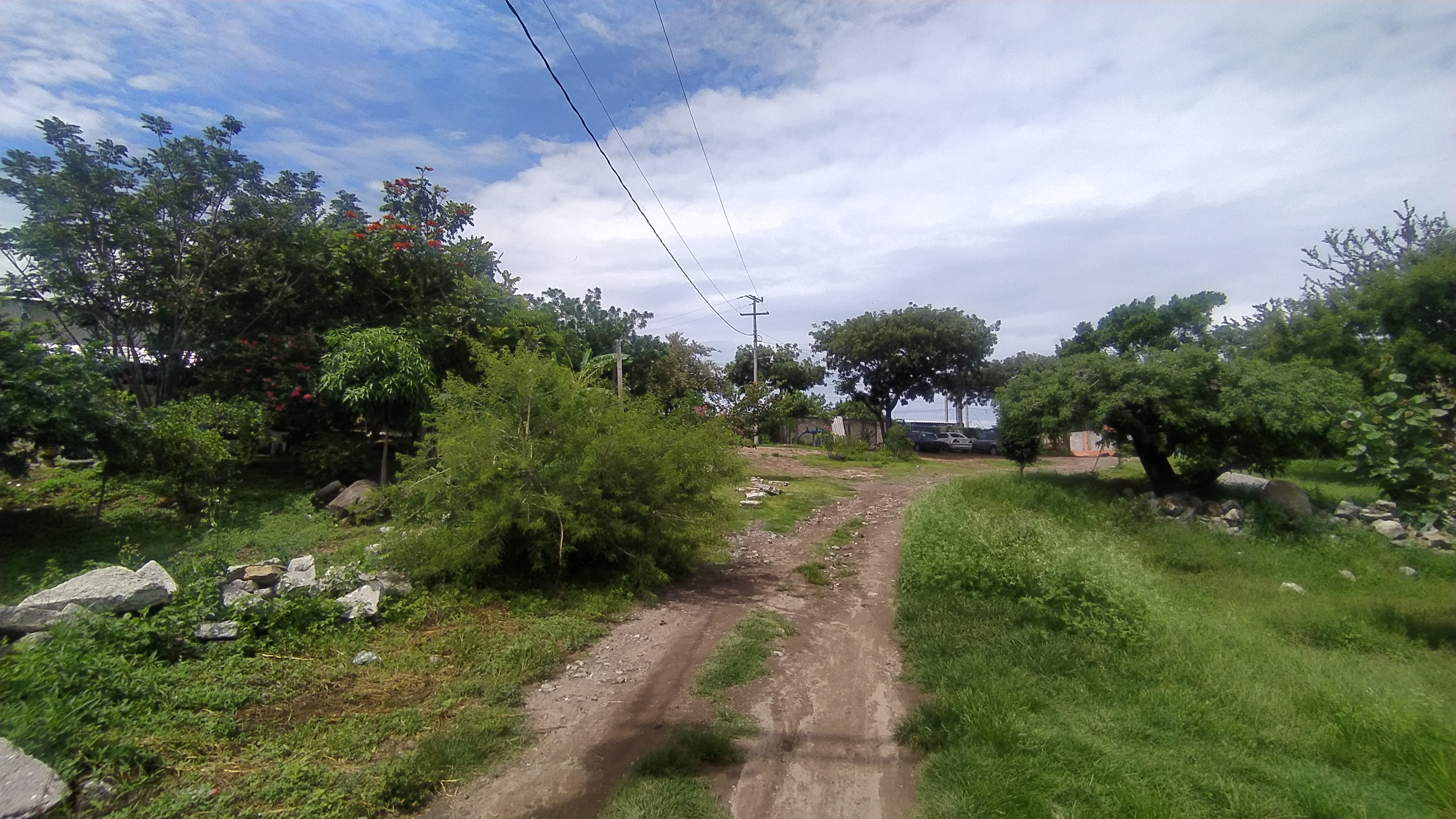 Los estanques de Mojarras image 7