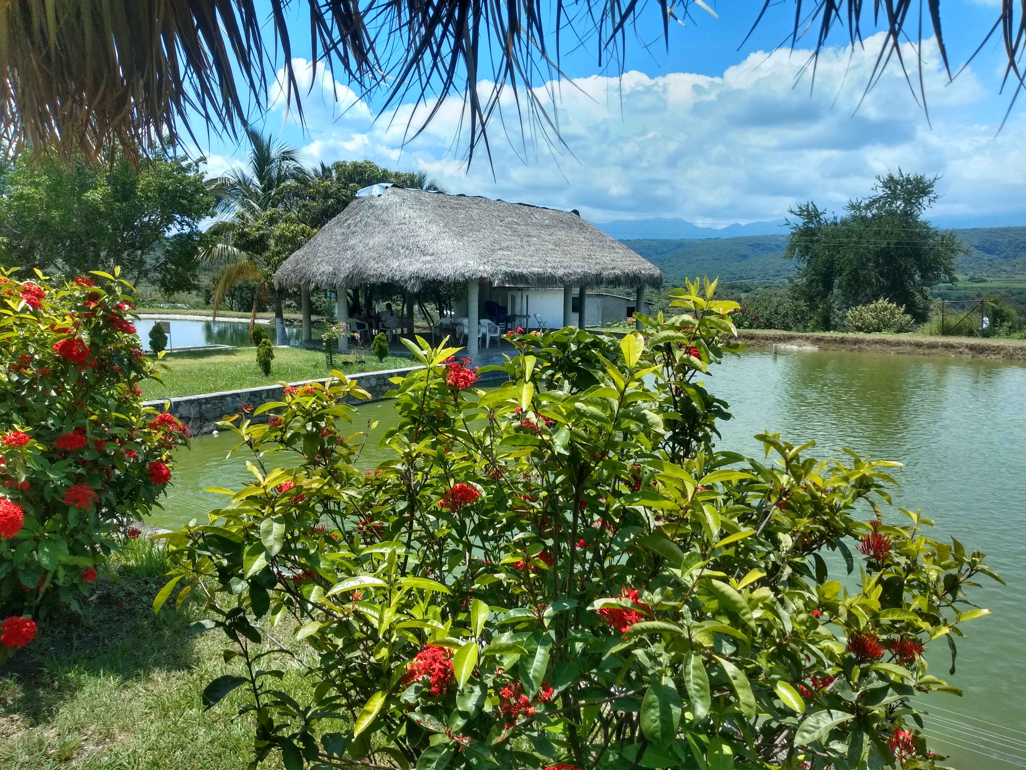 Los estanques de Mojarras image 10