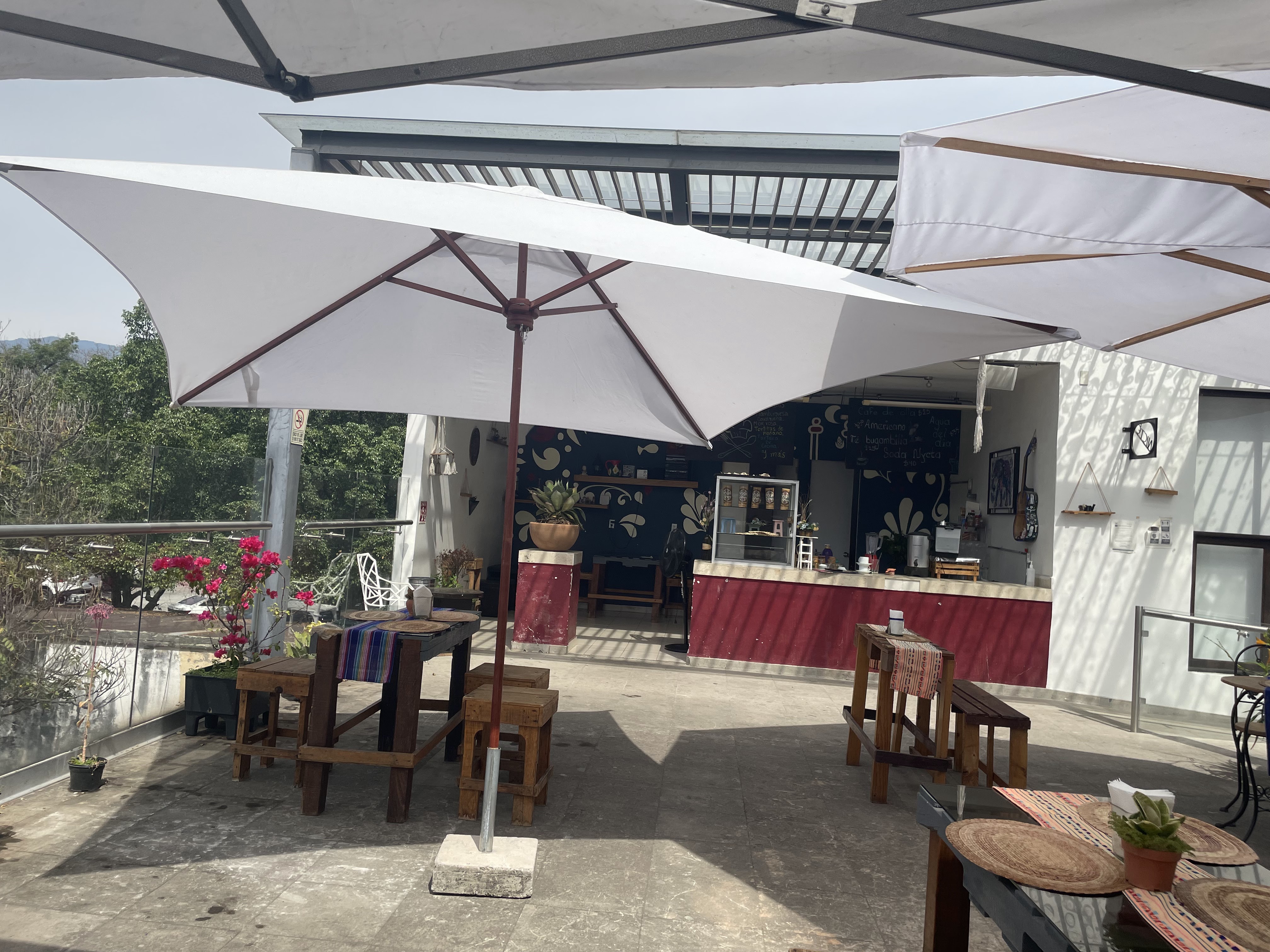 Nicté Restaurante Galeria image 5