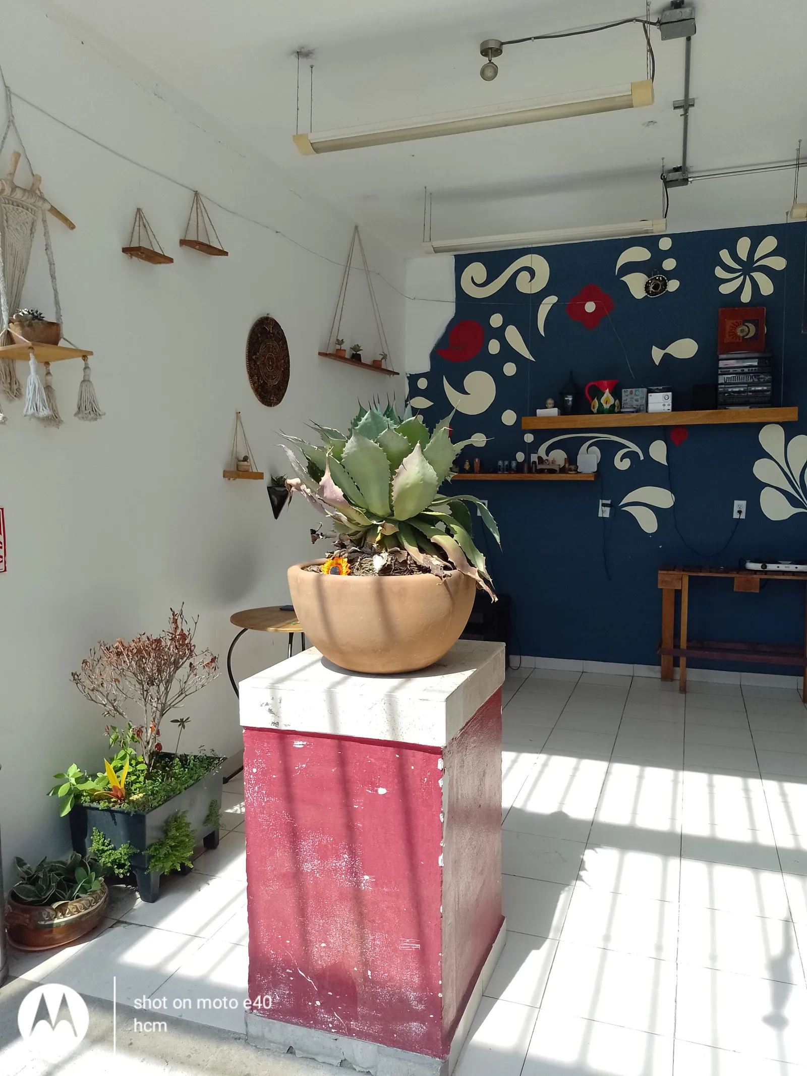 Nicté Restaurante Galeria image 9