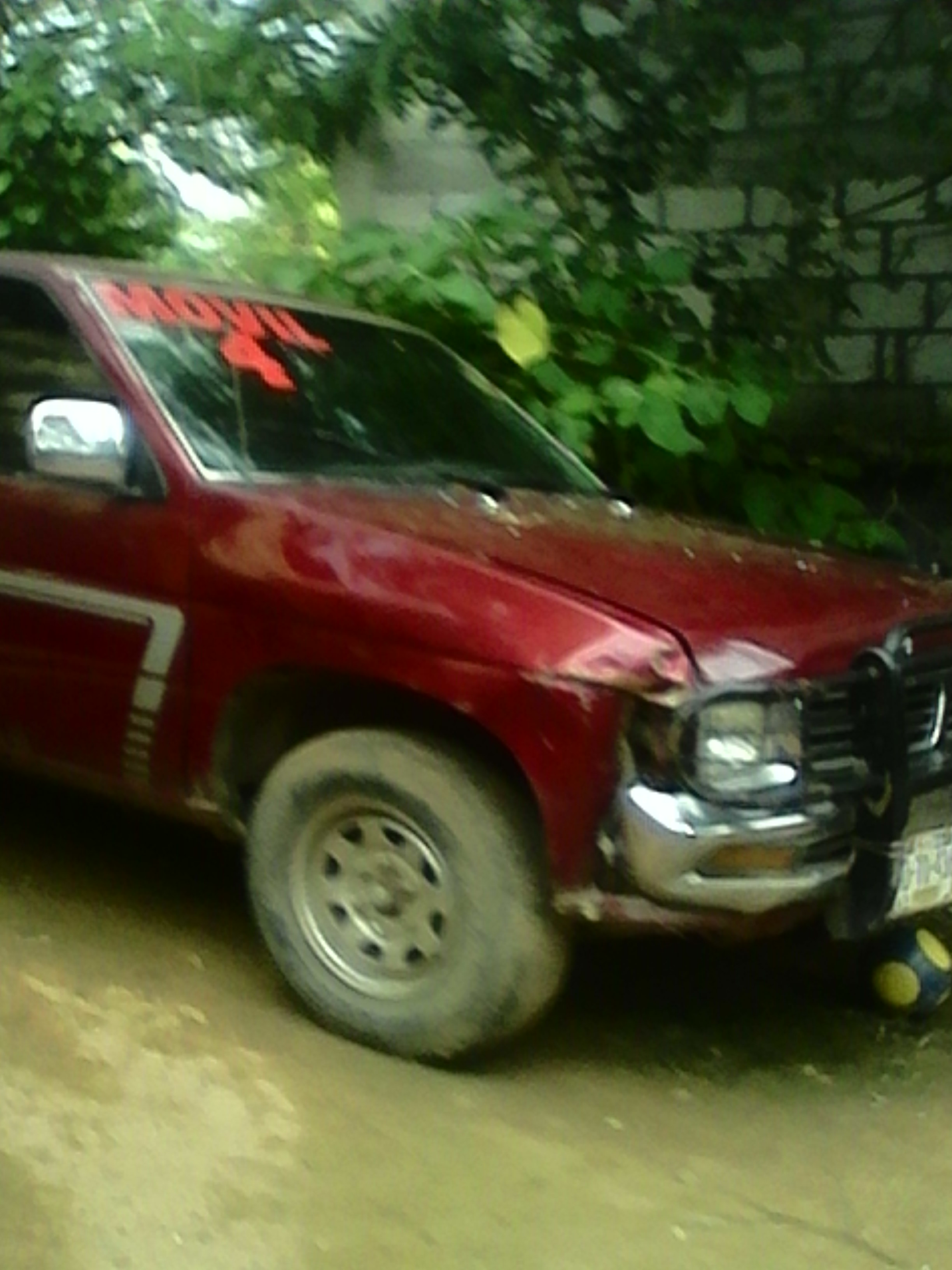 El Rincon de Amy image 8