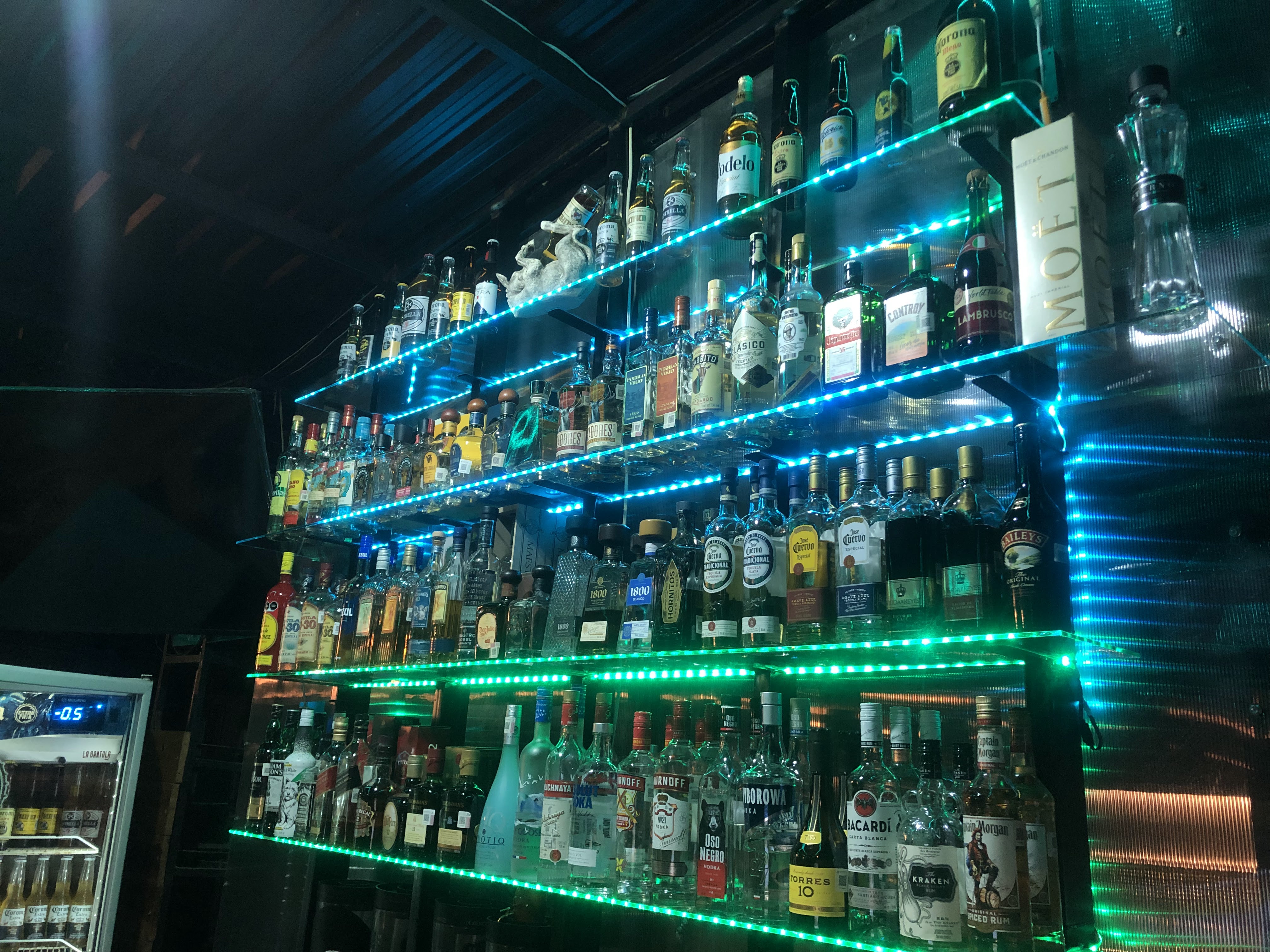 La Bartola Roof image 1