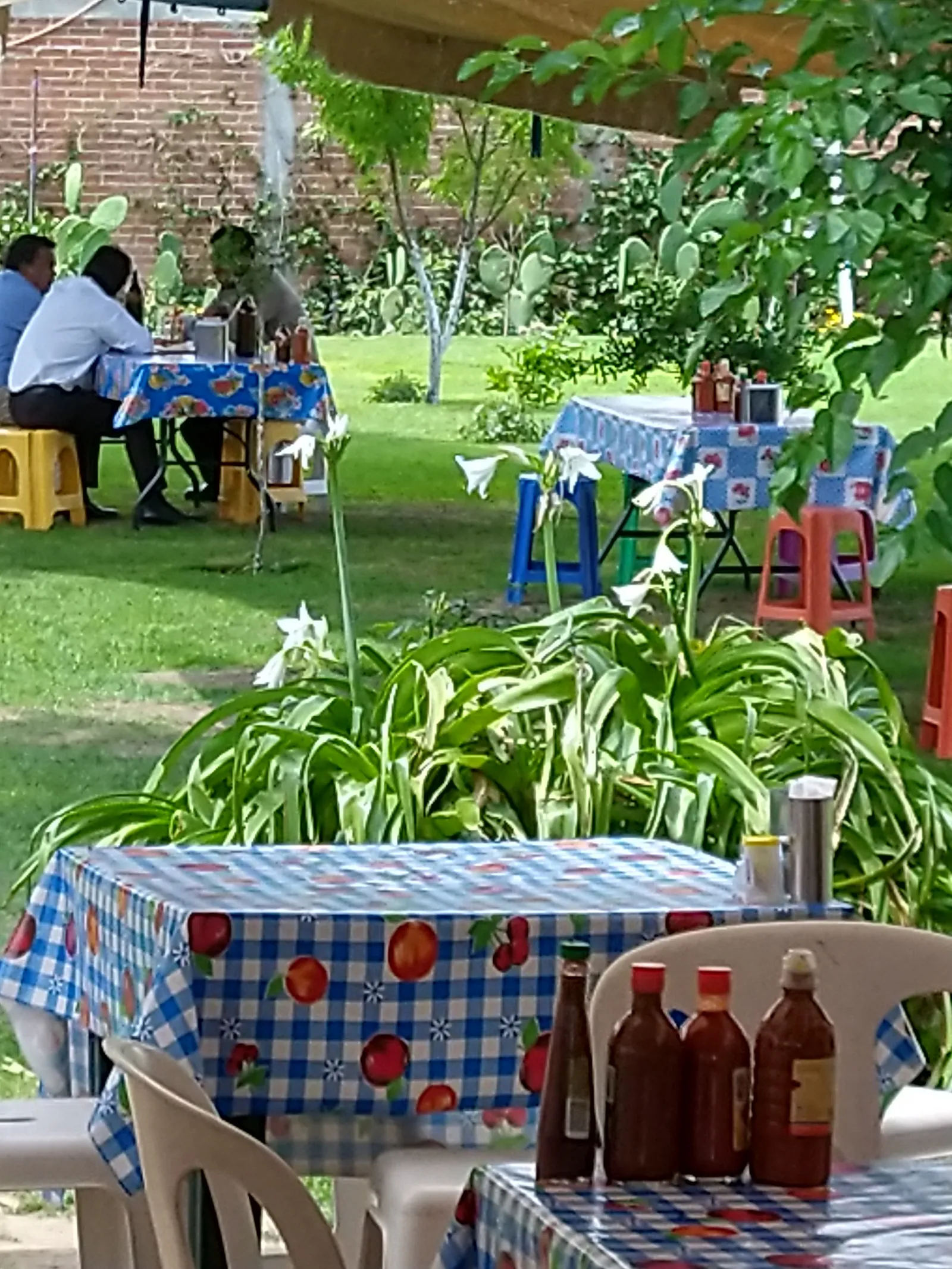 Marisqueria Beto image 5