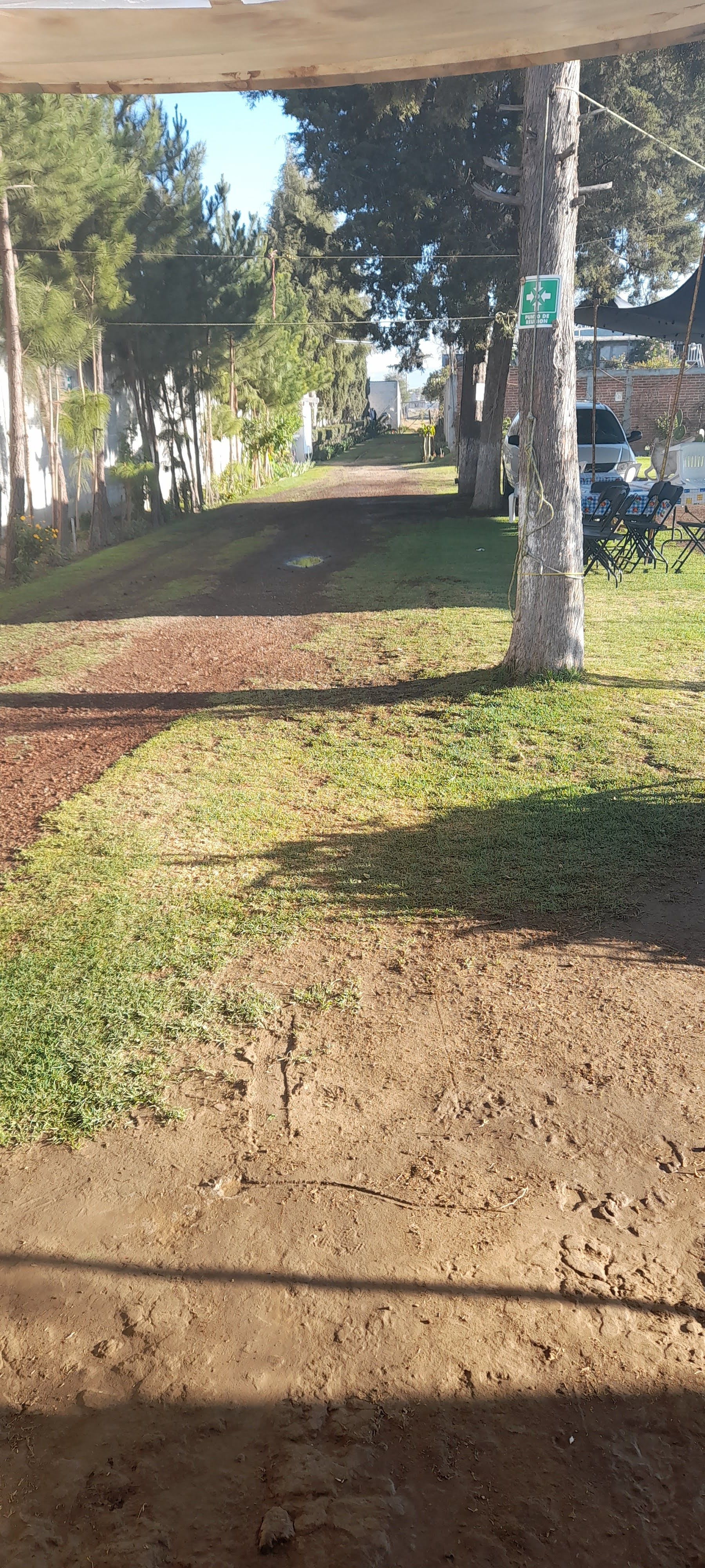 Marisqueria Beto image 10