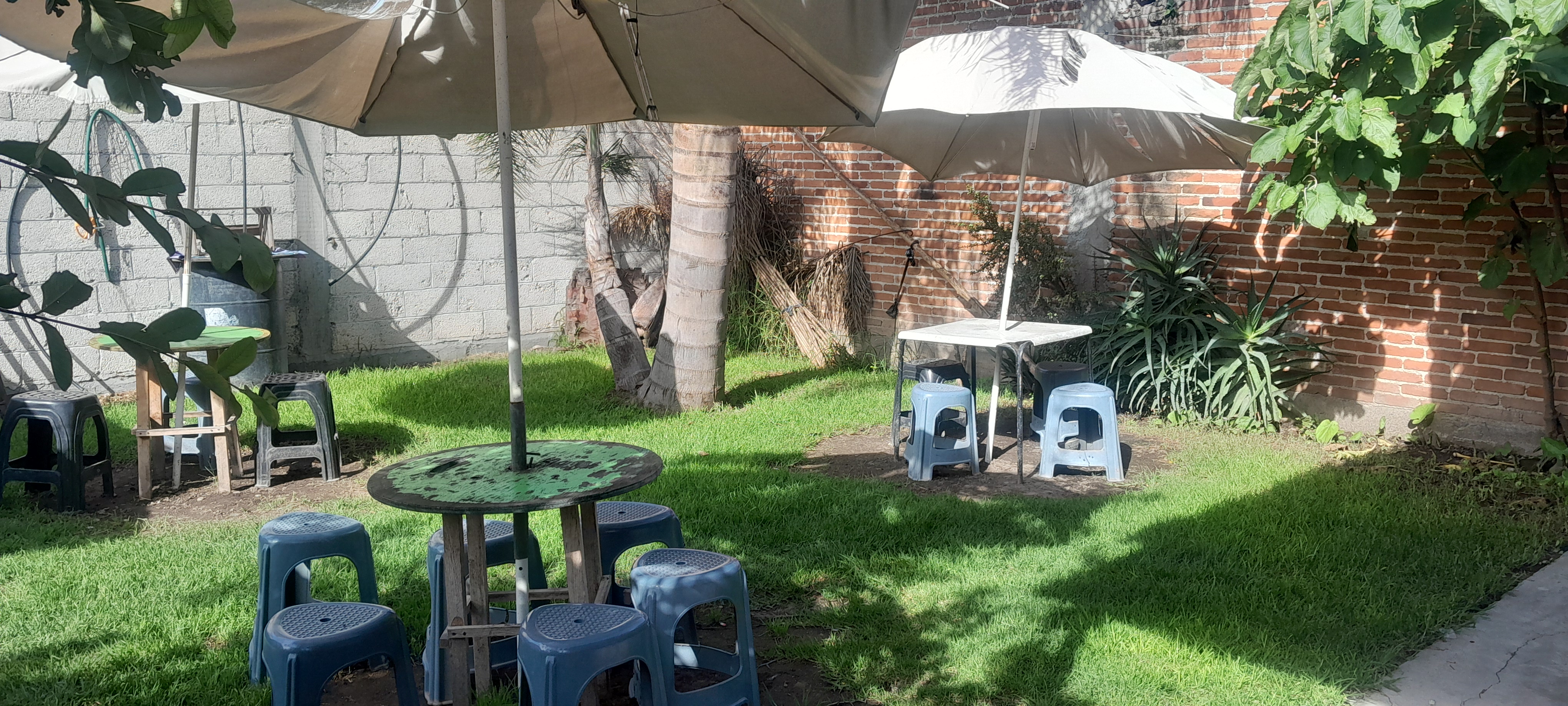 Micheladas Y algo más "la rana" image 1