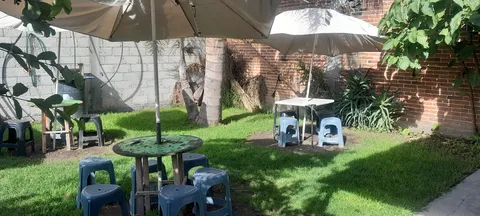 Micheladas Y algo más "la rana" image 1