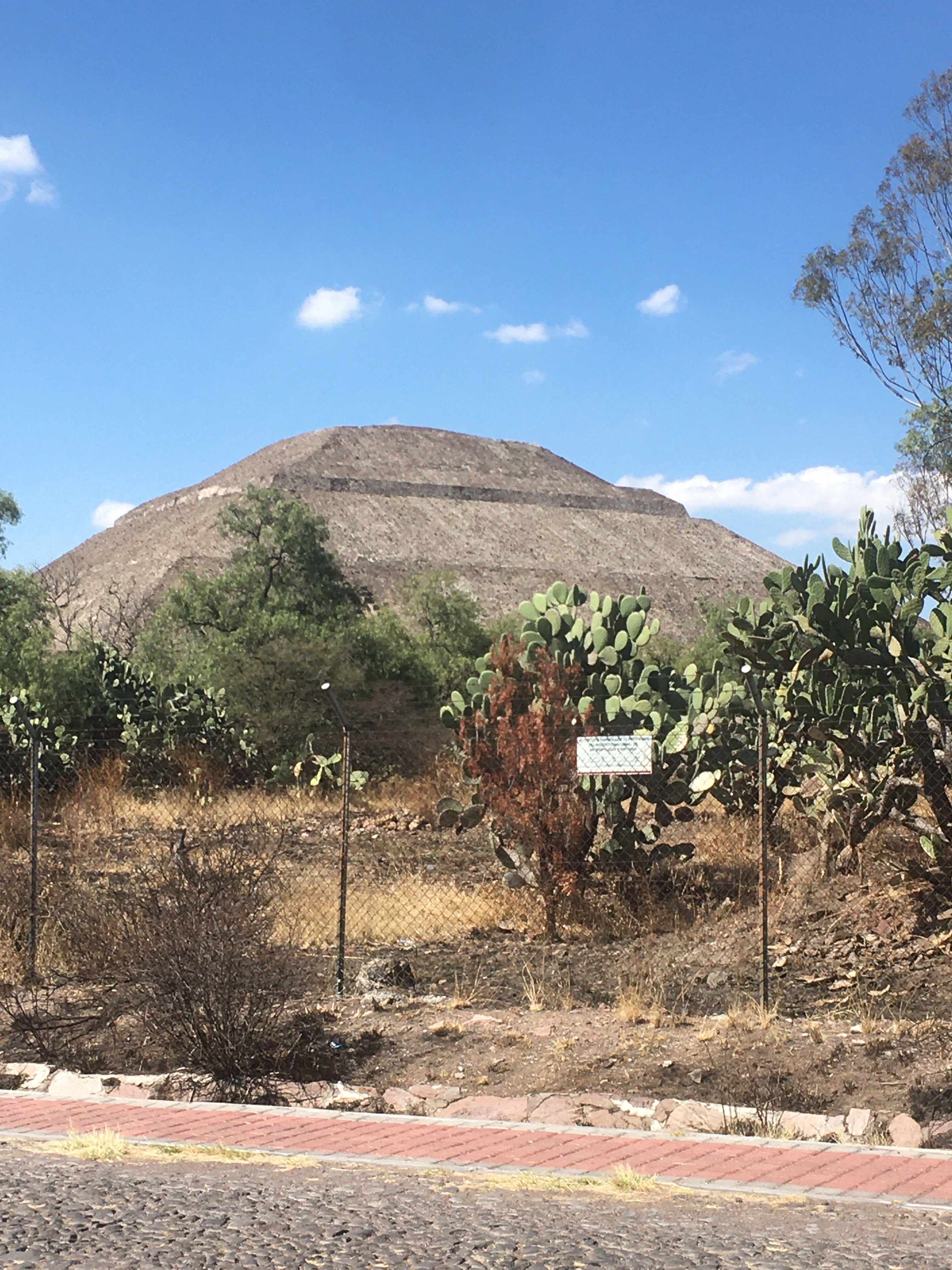 Restaurante El Sol image 6