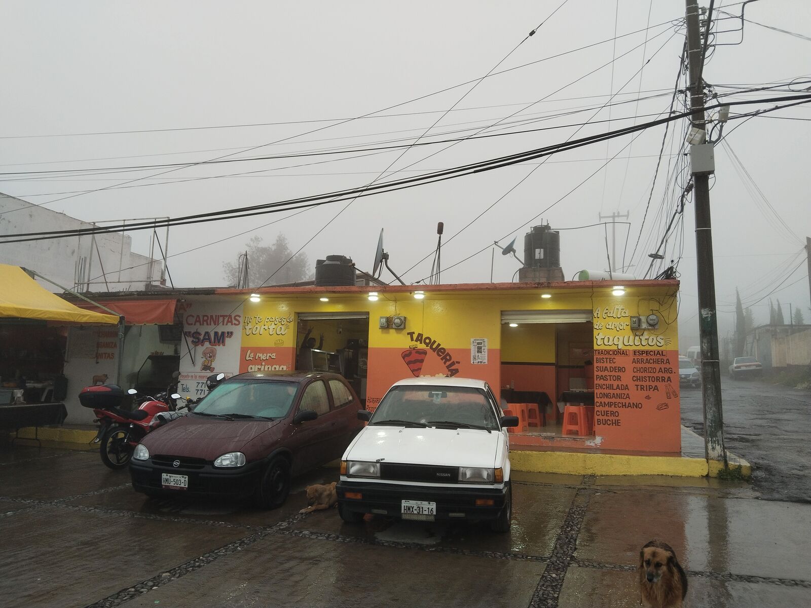 Taqueria sam image 3