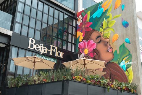 Beija-Flor image 1