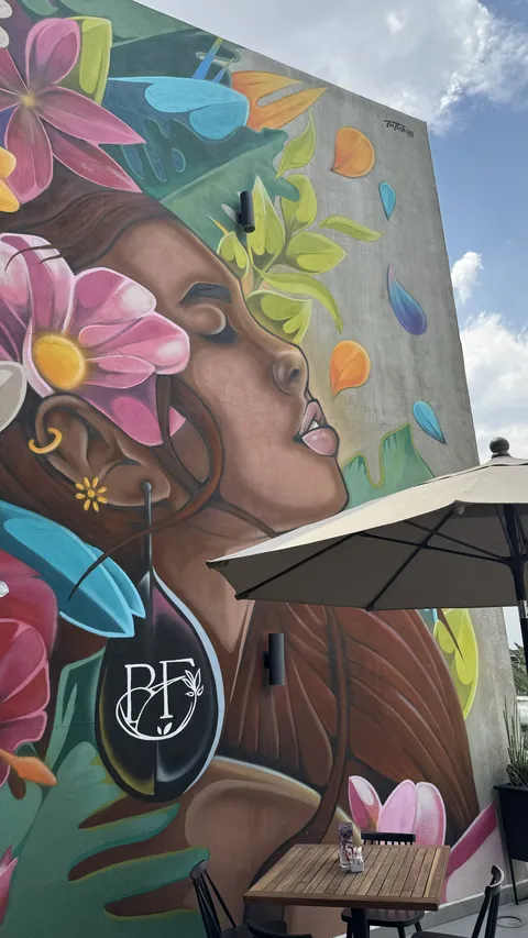 Beija-Flor image 8