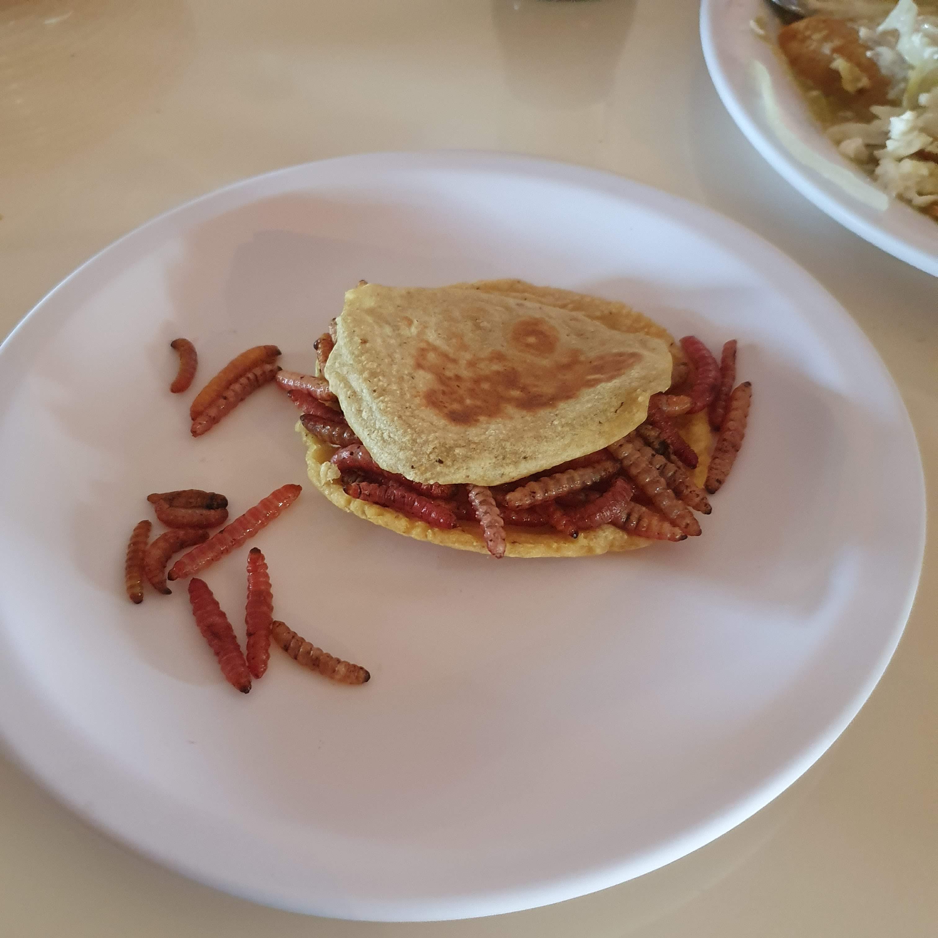 La Cabaña del Tío Pillo image 8