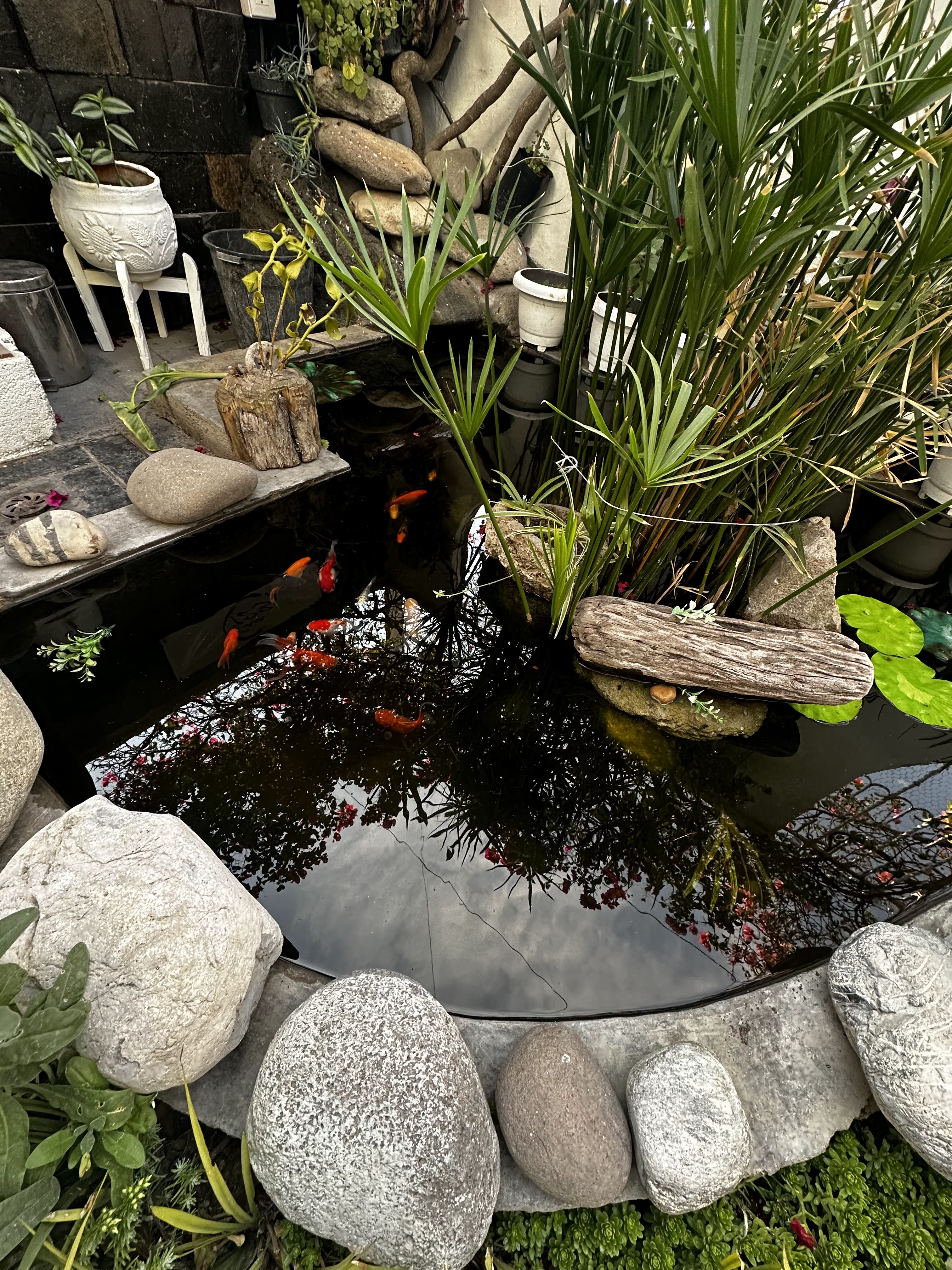 Restaurante Casa 123 image 5