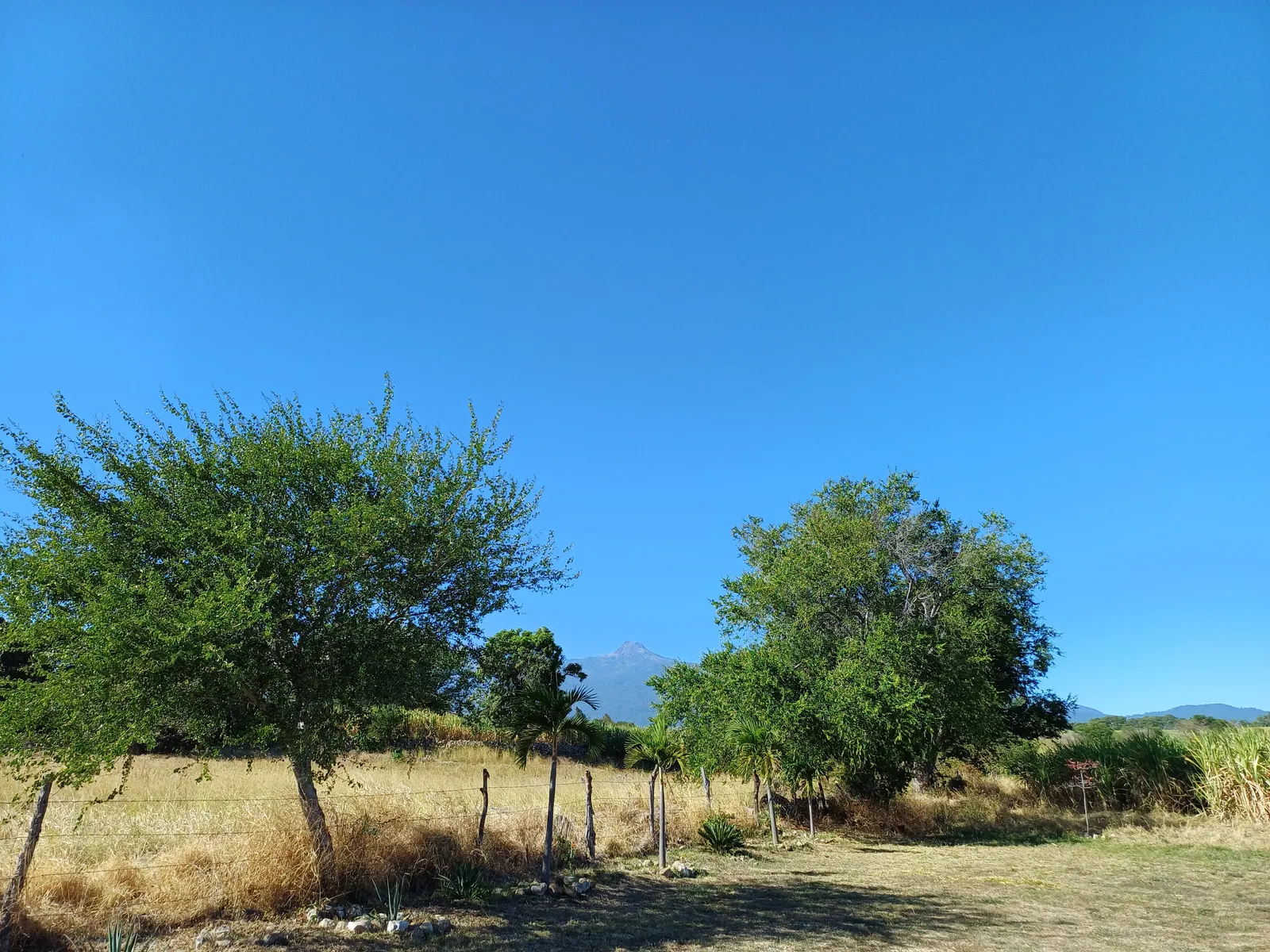RINCON DE JALISCO image 6