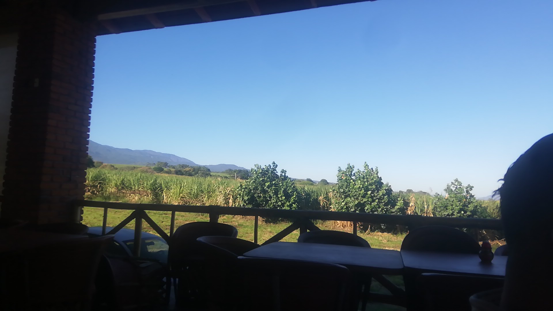 RINCON DE JALISCO image 9